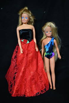 Beautiful Barbie  Skipper doll, Barbie dolls, Barbie