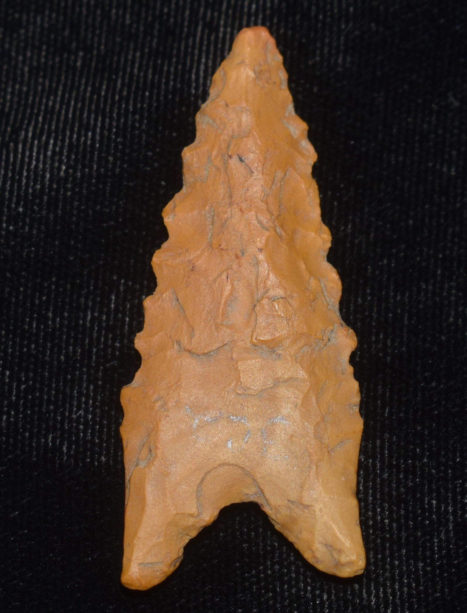 2 1/8" Serrated Dalton found in Pettis County, Missouri (1 of 7)