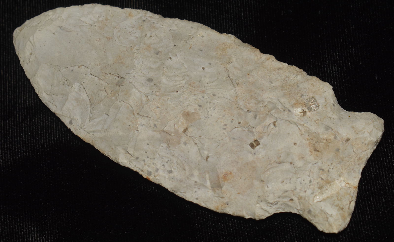 4" Rice Lobbed made of Choteau Chert found in Pettis County, Missouri w/ COA: 4" Rice Lobbed made of Choteau Chert found in Pettis County, Missouri w/ COA. Motley called it Mozarkite on the paper which is incorrect. Mozarkite doesn't have fossil inclusions. Comes with a Roy Mot