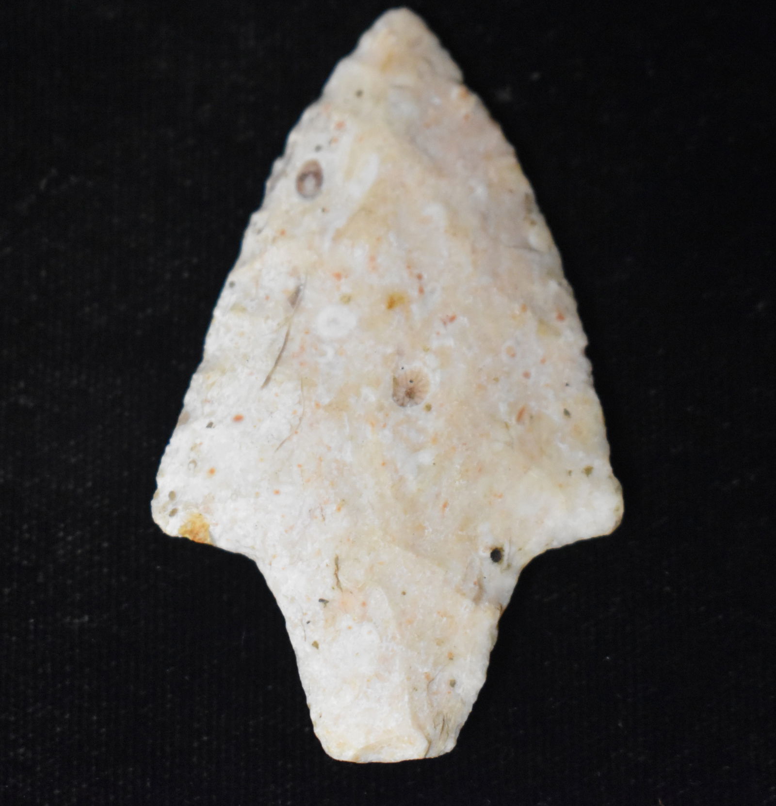 2 3/8" Adena Dickson Found in Saline County, Missouri by Jim Latimer (1 of 7)