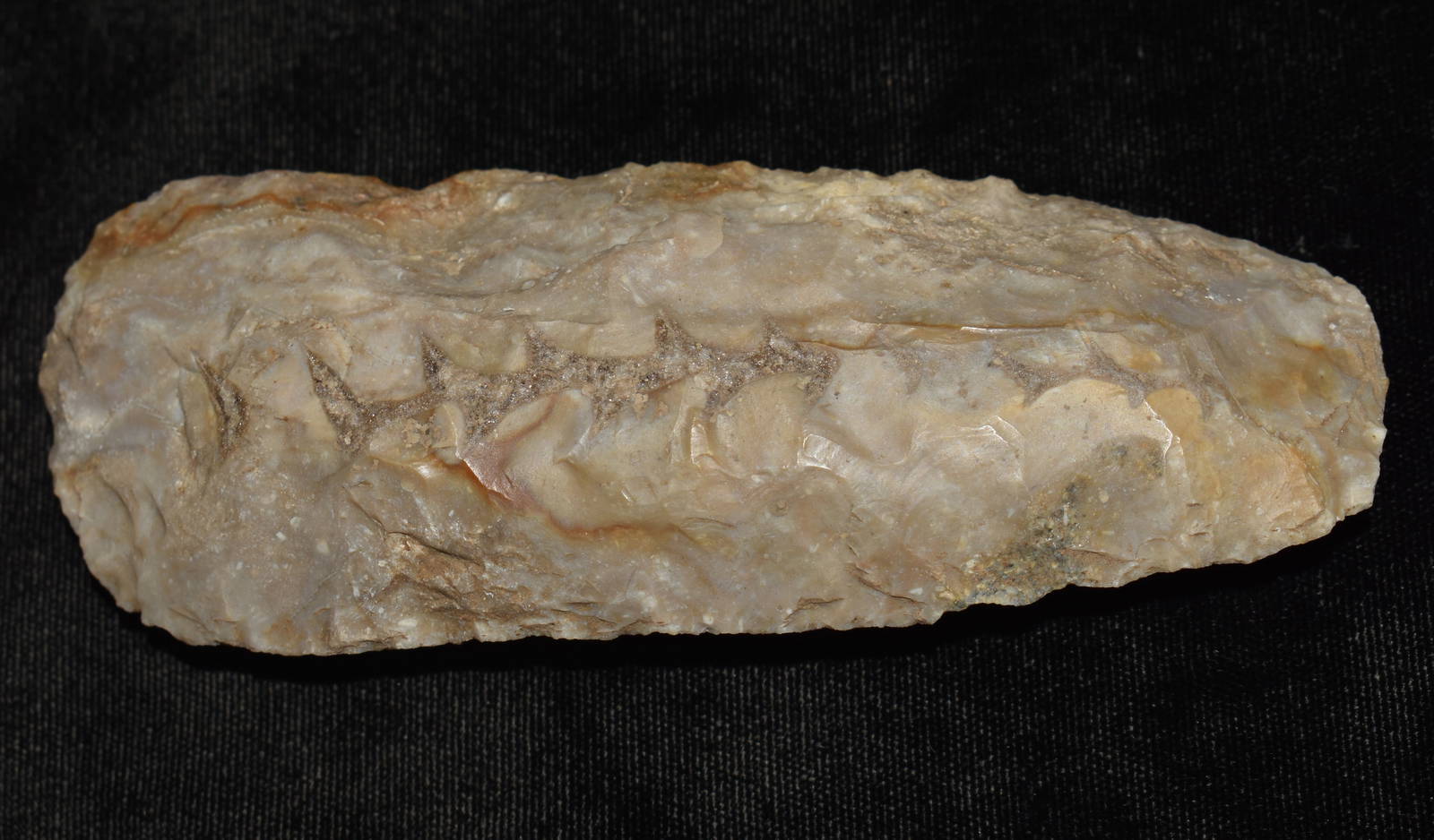 5" Sedalia Digger W/ Corkscrew Fossil Inclusion Found In Saline County, Missouri By Jim Latimer