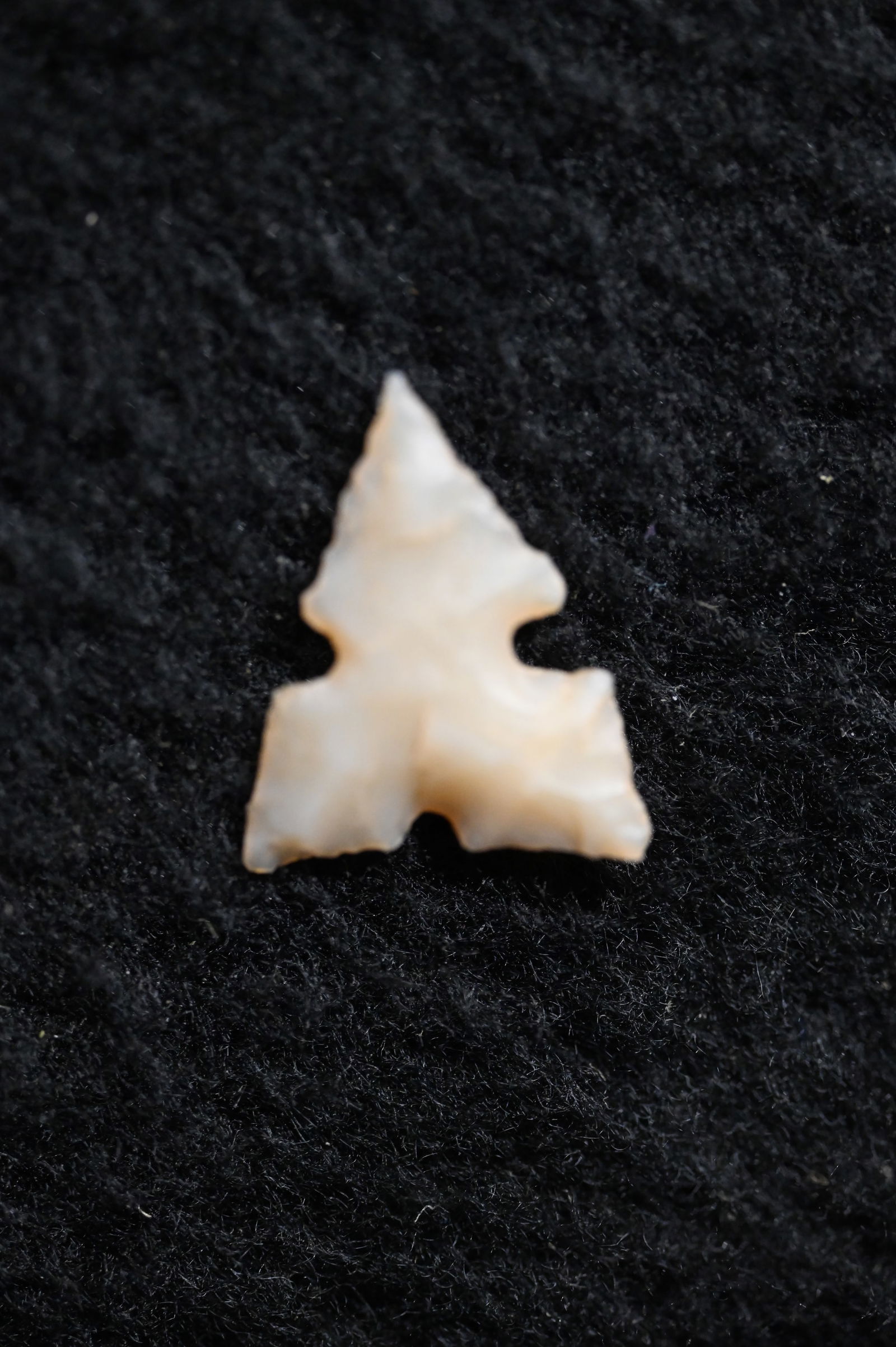 Desert Sierra  Found in Oregon 5/8" Long and comes with a Ryan Keele Certificate of Authenticity. (1 of 6)