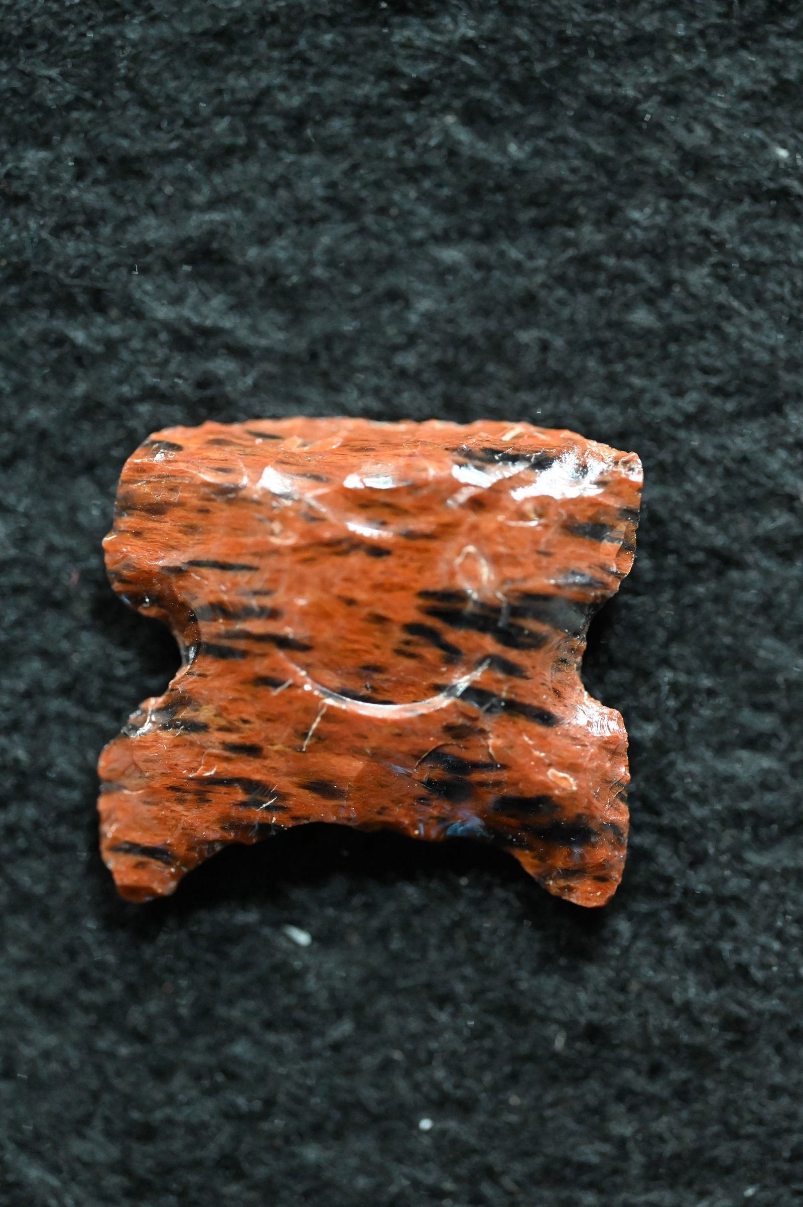 Northern Side Notched Found in Oregon 7/8"" Long and comes with a Ryan Keele Certificate of (1 of 5)