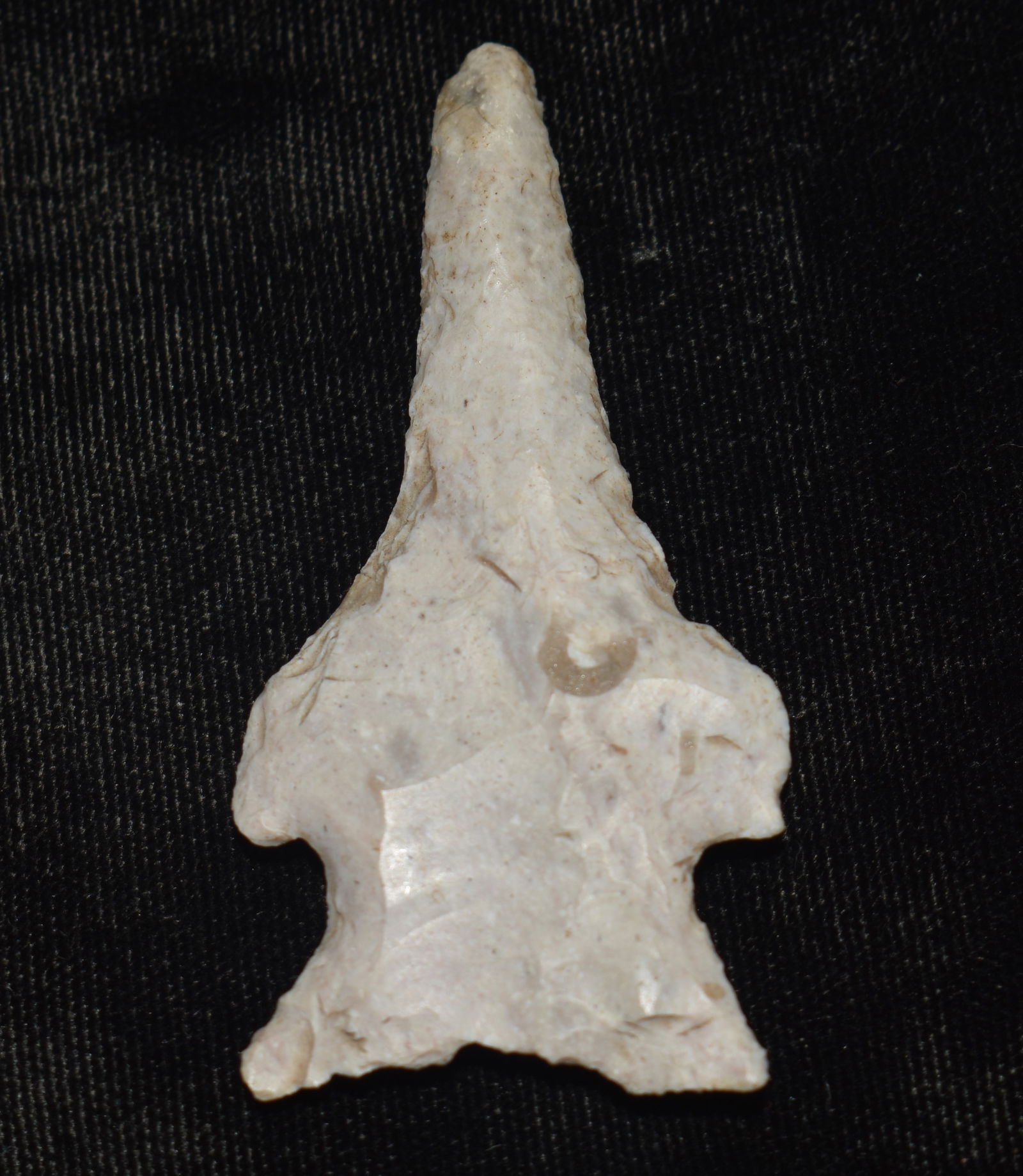 2 1/2" Apple Creek Drill Found in Saline County, Missouri by Jim Latimer (1 of 7)