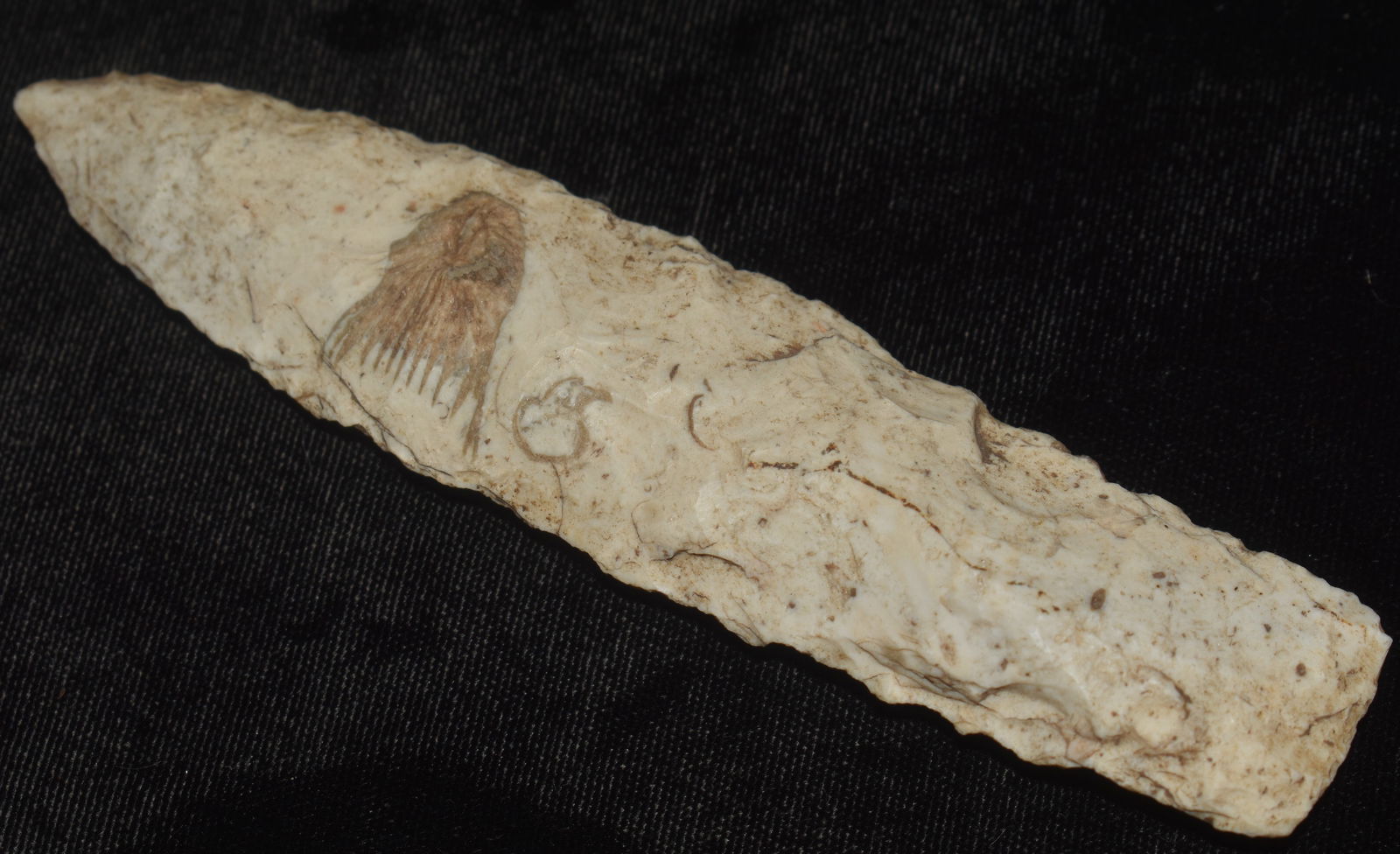 5 3/8" Nebo Hill Spear with a Large Fossil Inclusion found in Pettis County, Missouri (1 of 7)