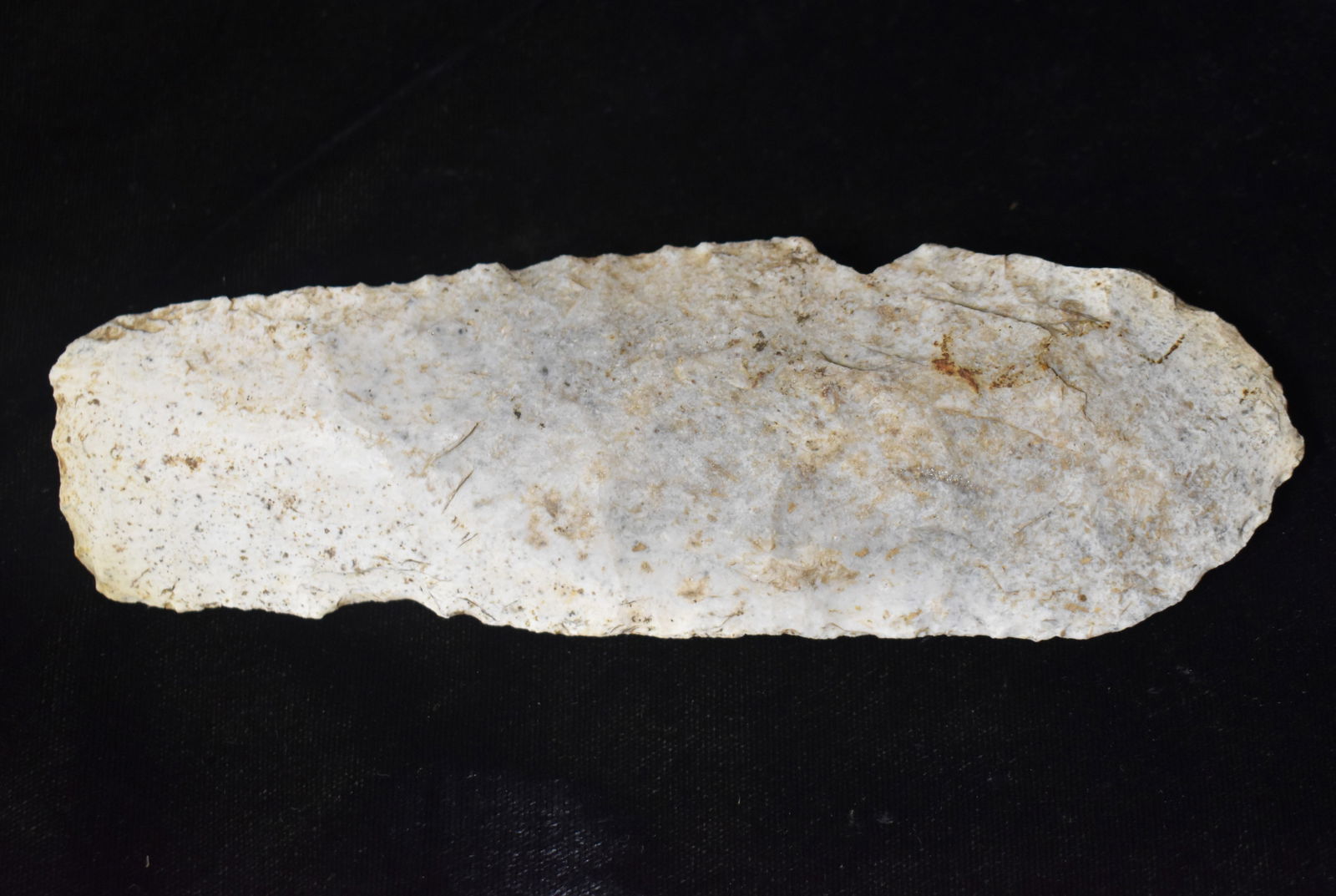 6 1/2" Sedalia Digger found in Saline County, Missouri by Jim Latimer (1 of 7)