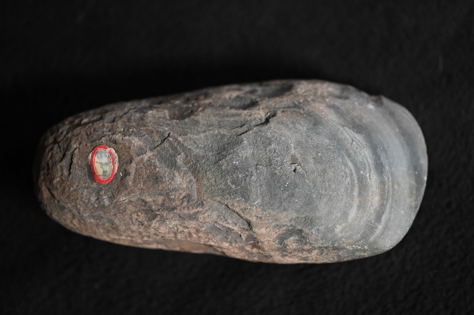 5 3/8" Slate Celt Found in Ohio Ex: John Bennett Collection. (1 of 9)