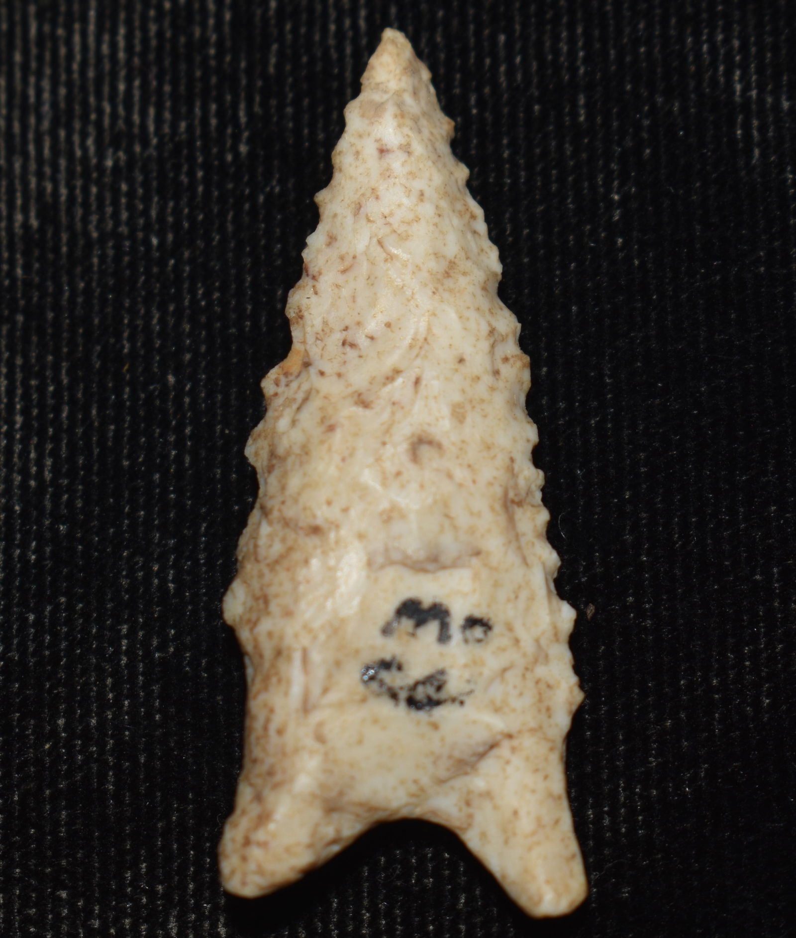 1 9/16" Dalton found in Pettis County, Missouri (1 of 7)