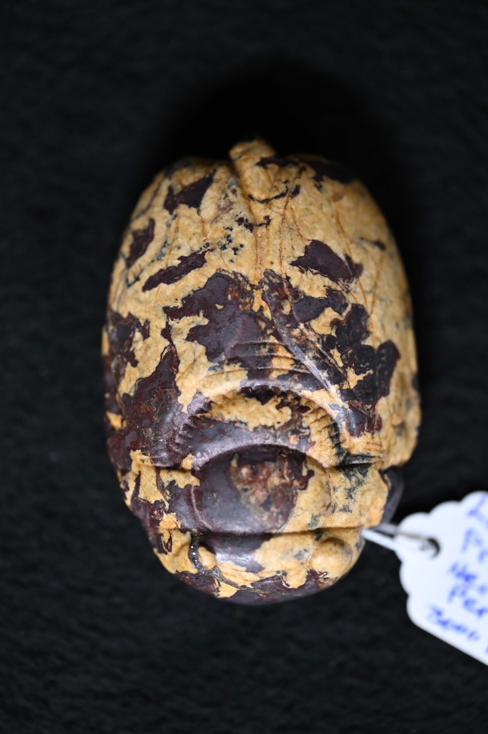 2 1/2" Neolithic Locust Hardstone Pendant Found in The Liaoning Province N.E. China Approx 3000 B.C. (1 of 10)