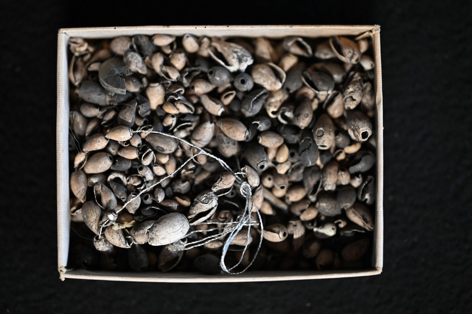 Small Seed and Shell Beads Ex: Dale and Betty Roberts Collection.: Small Seed and Shell Beads Ex: Dale and Betty Roberts Collection.