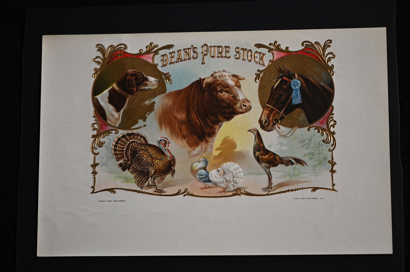 Dean's Pure Stock Vintage Cigar Label Stone Lithograph Art Dated from the late 1800's to early (1 of 3)