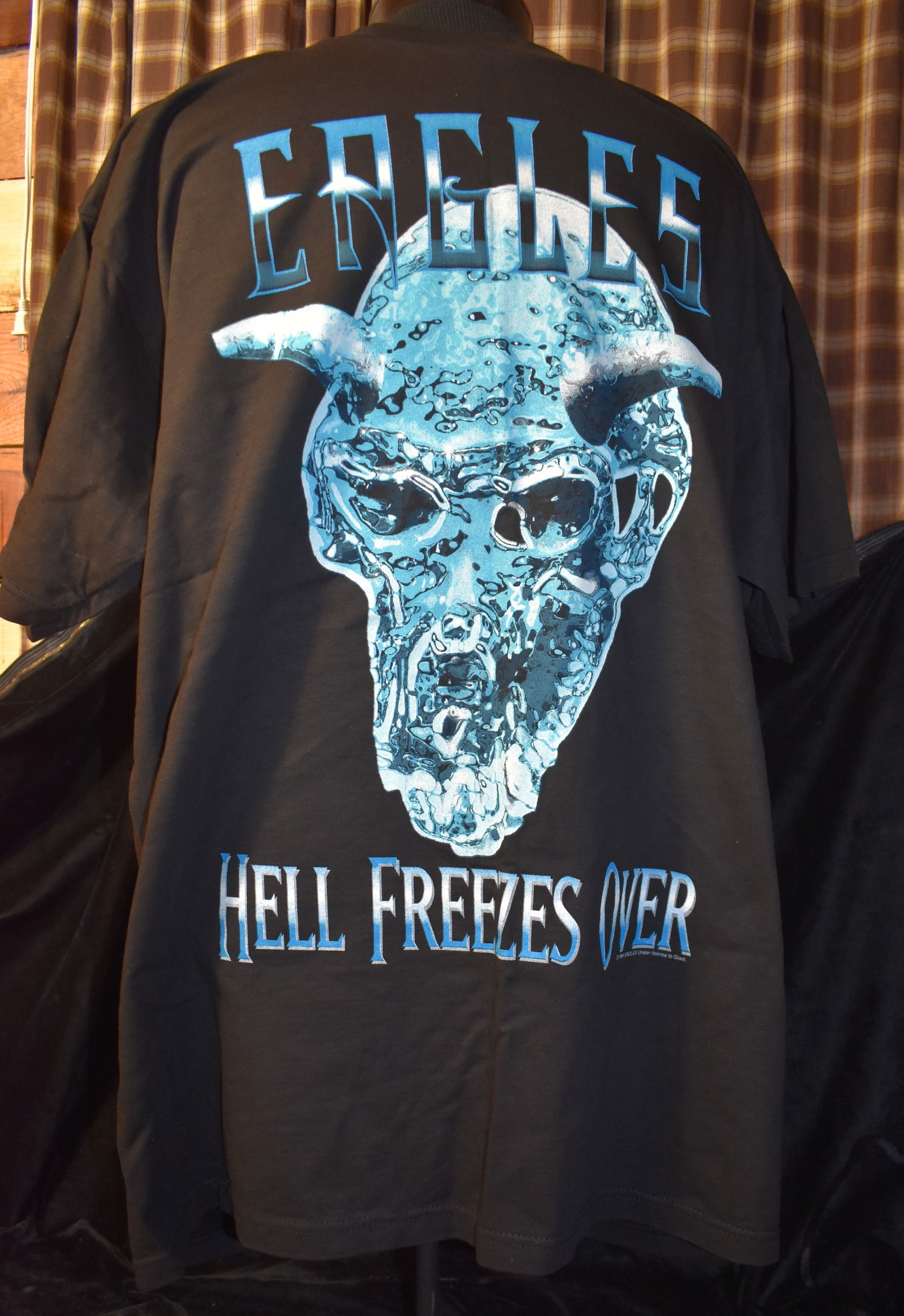 1994 Eagles Hell Freezes Over Tour Shirt Giant XL by Tultex (Like New) (1 of 4)