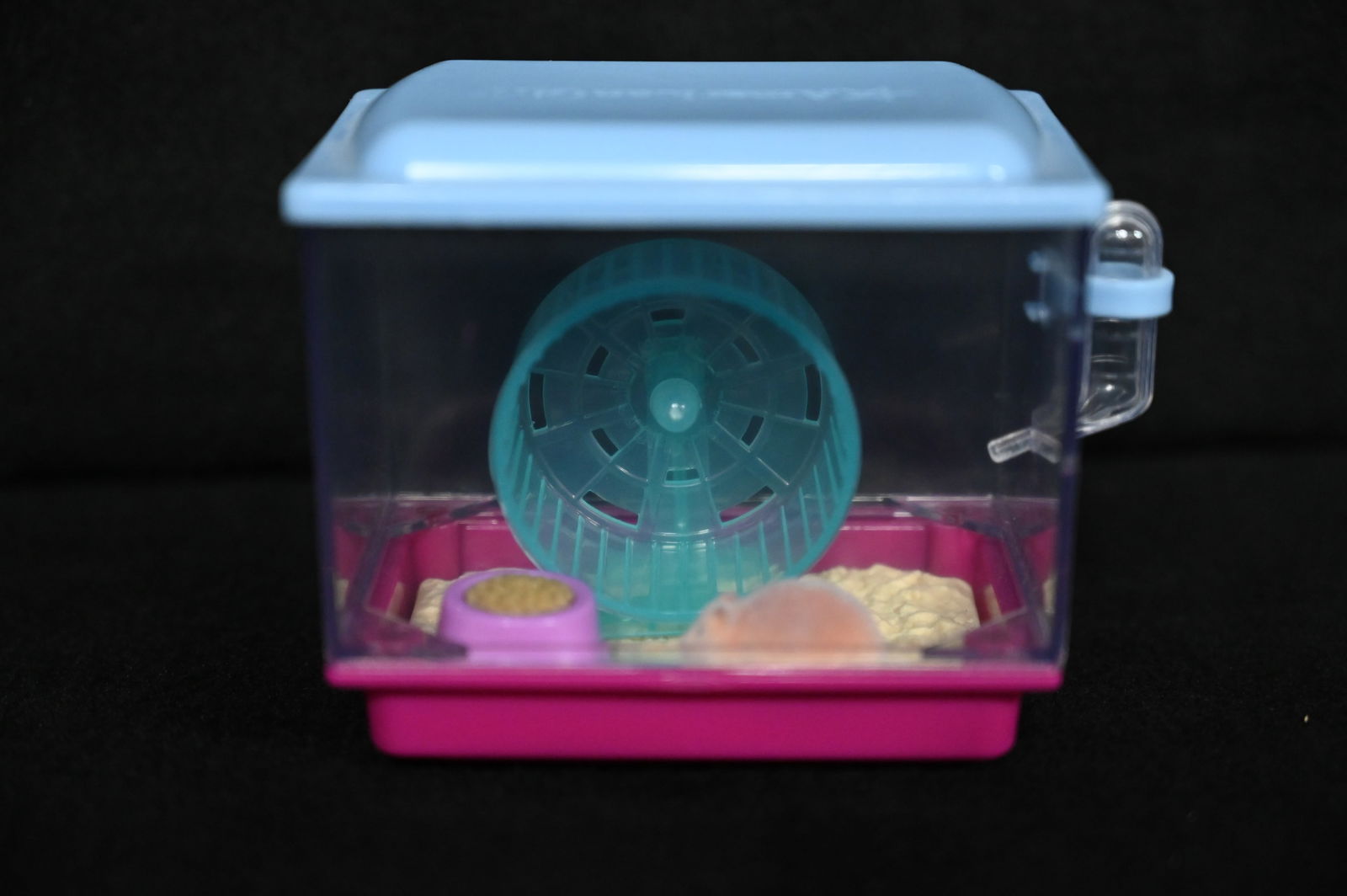 American girl class pet deals hamster