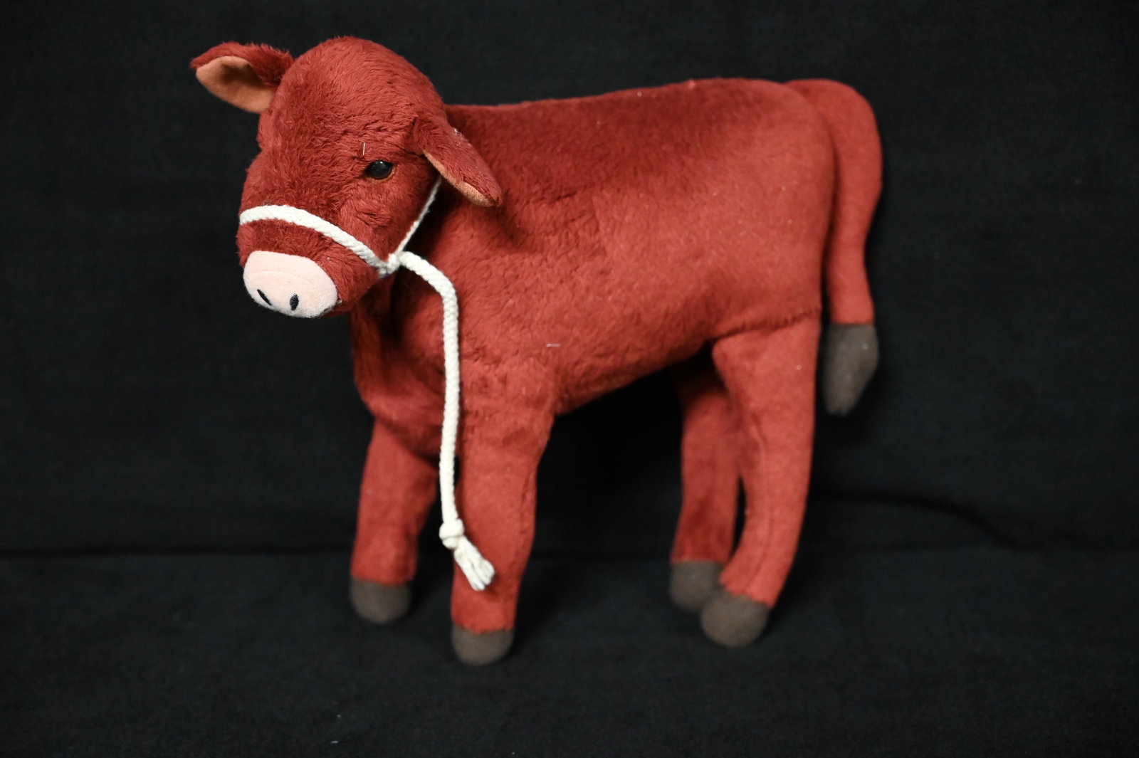 American Girl Caroline Pet Calf.: American Girl Caroline Pet Calf.