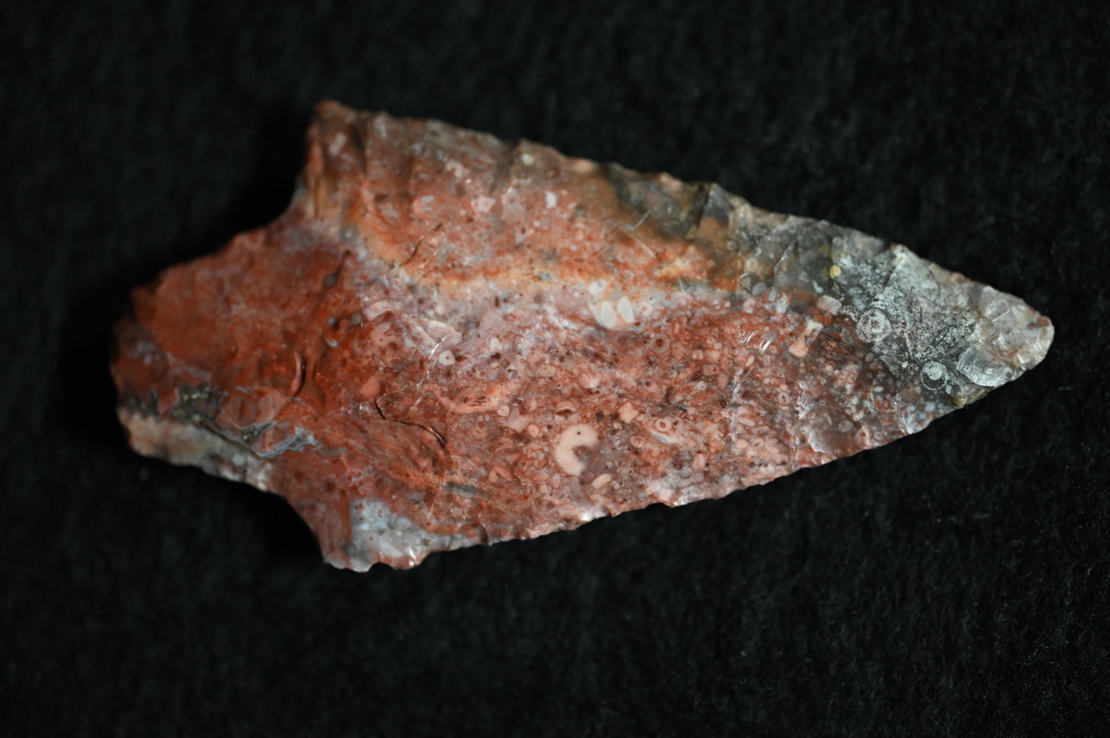 2 15/16" Colorful Dickson Found in Pettis Co. Missouri Ex: George Wolf Collection Comes with a Ryan: 2 15/16" Colorful Dickson Found in Pettis Co. Missouri Ex: George Wolf Collection Comes with a Ryan Keele COA.