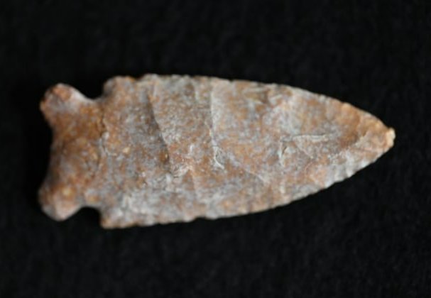 2 3/8" Creek Stained Robinson Found in Madison Co. Illinois by Duane Neal. (1 of 9)