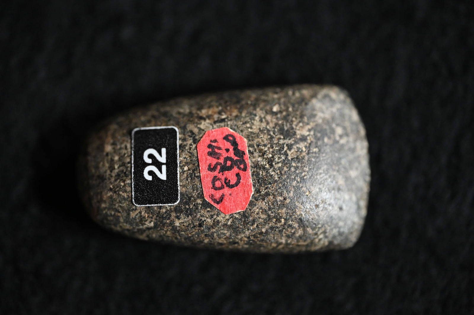 1 7/8" Miniature Granite Celt Found in Mason Co. Illinois Ex: Dr. Jim Mills, Steve Manos, Matt Lay (1 of 8)