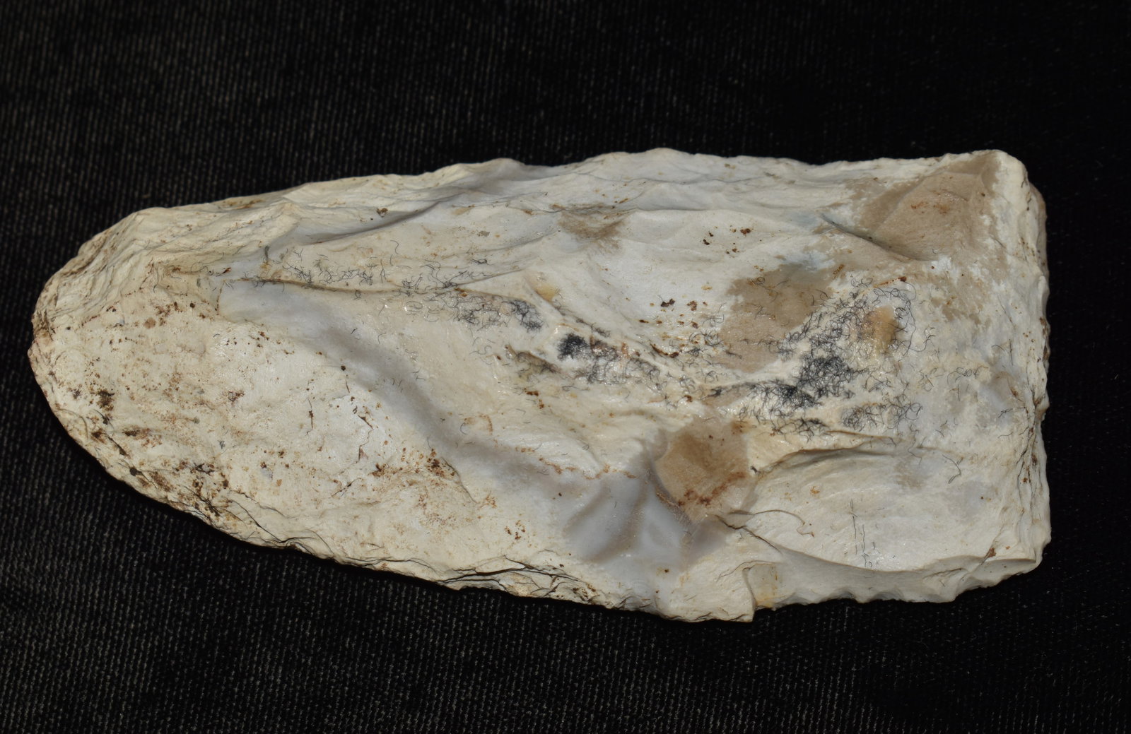 4 1/4" Mozarkite Clear Fork Gouge found in Pettis County, Missouri (1 of 7)