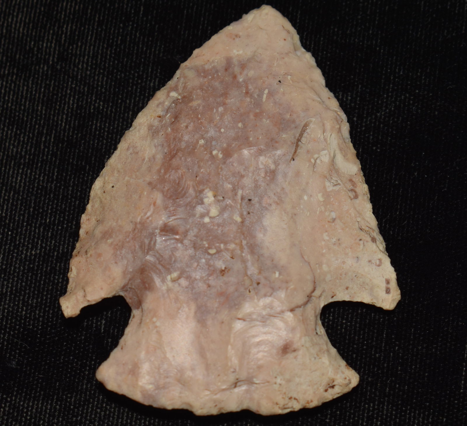 2 11/16" Snyders found in Pettis County, Missouri w/ Motley COA (1 of 7)