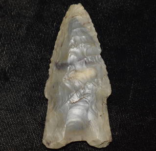 2 5/8" Fluted Holland found in Pettis County, Missouri w/ COA: 2 5/8" Fluted Holland found in Pettis County, Missouri made of Choteau Chert. Very finely made piece. Ex George Wolf Collection. Comes with a Jackson COA