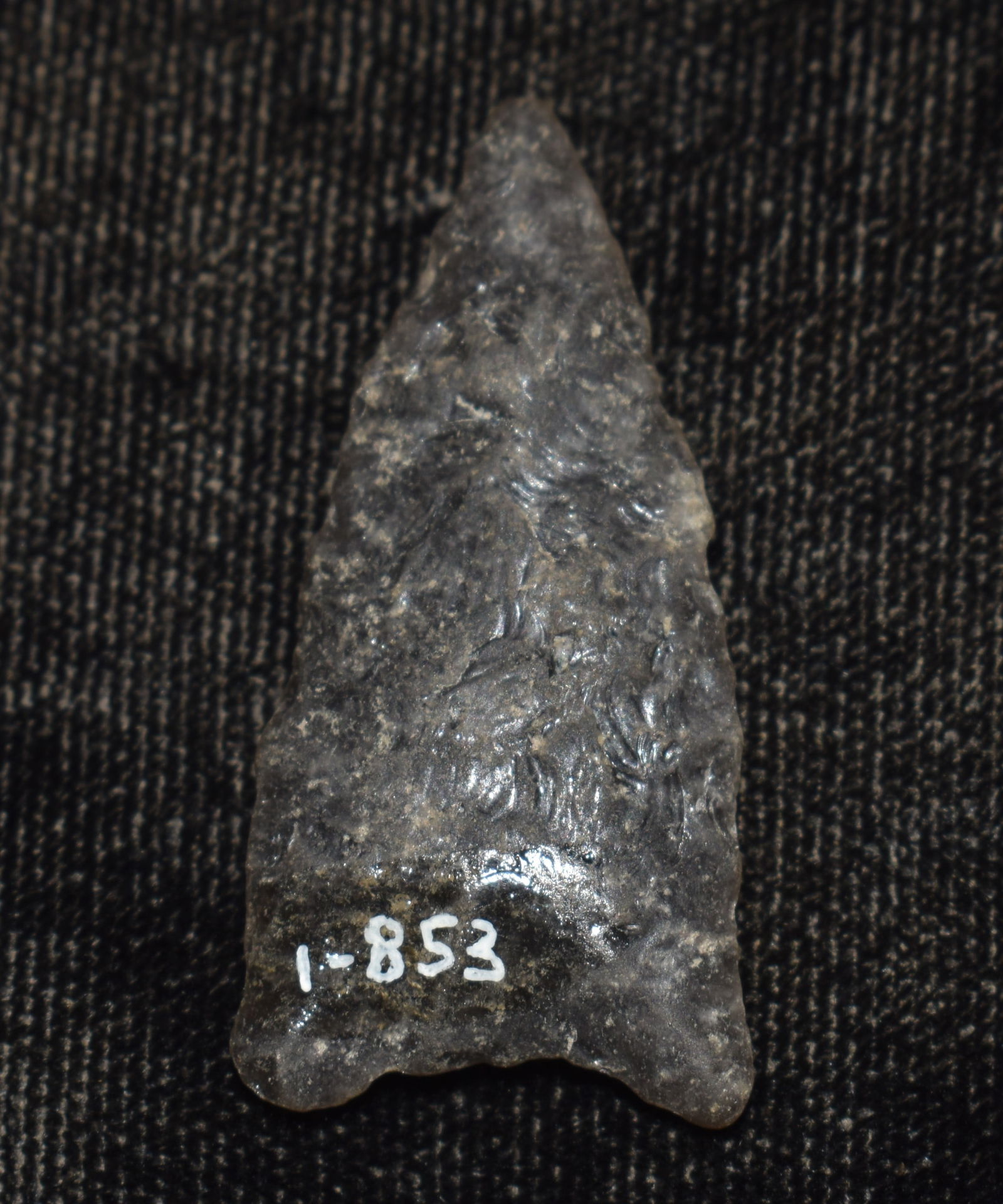 1 7/16" Obsidian Plainview w/ Keele COA  Found in Lake County, California by Venn Keeling on and (1 of 8)