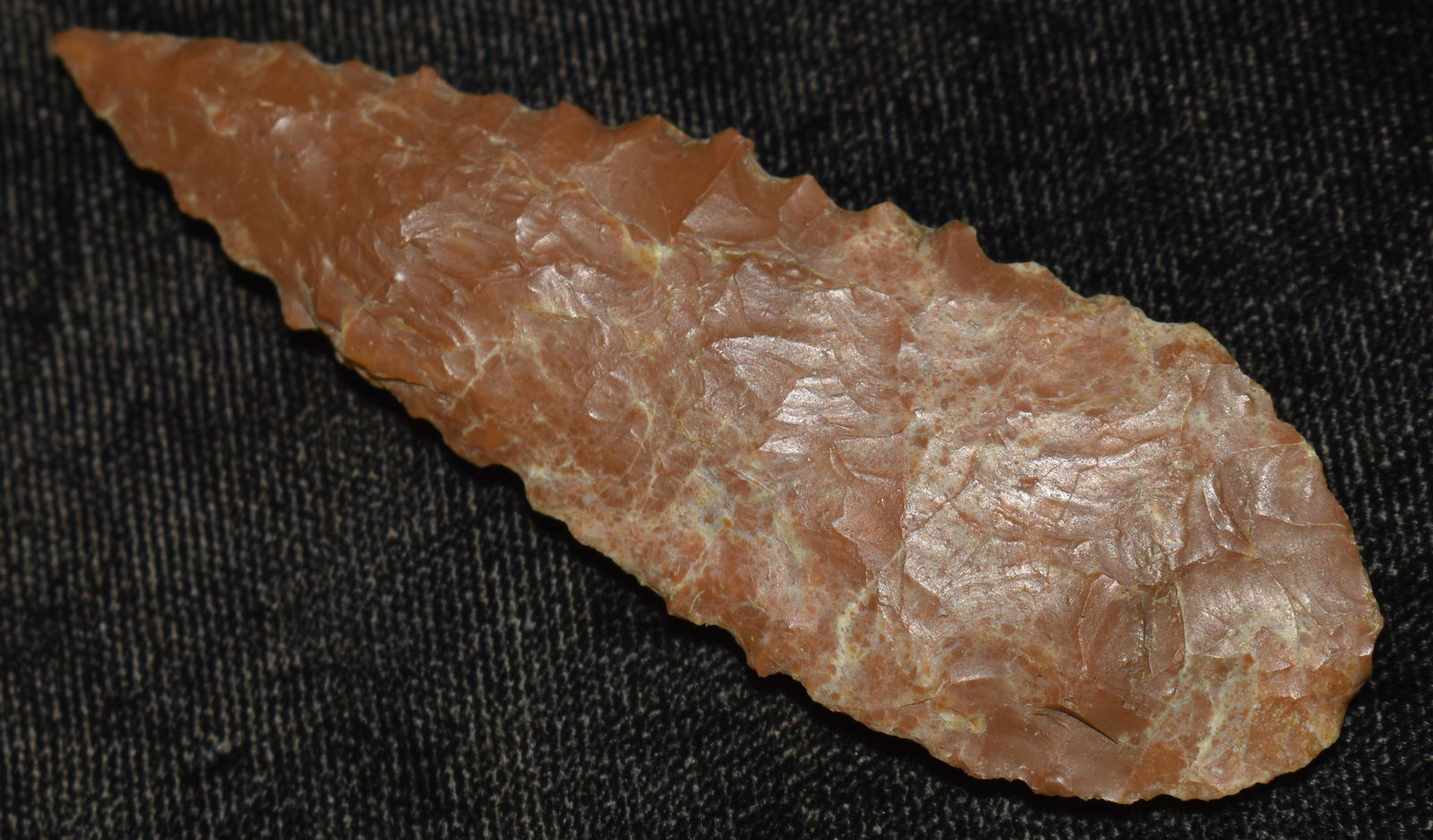 2 15/16" Serrated Jasper Cascade w/ Keele COA Found in Lake County, California by Venn Keeling on: 2 15/16" Serrated Jasper Cascade Found in Lake County, California by Venn Keeling on and near Bartlett Mountain And Catalogued by Berkley University. w/ Keele COA