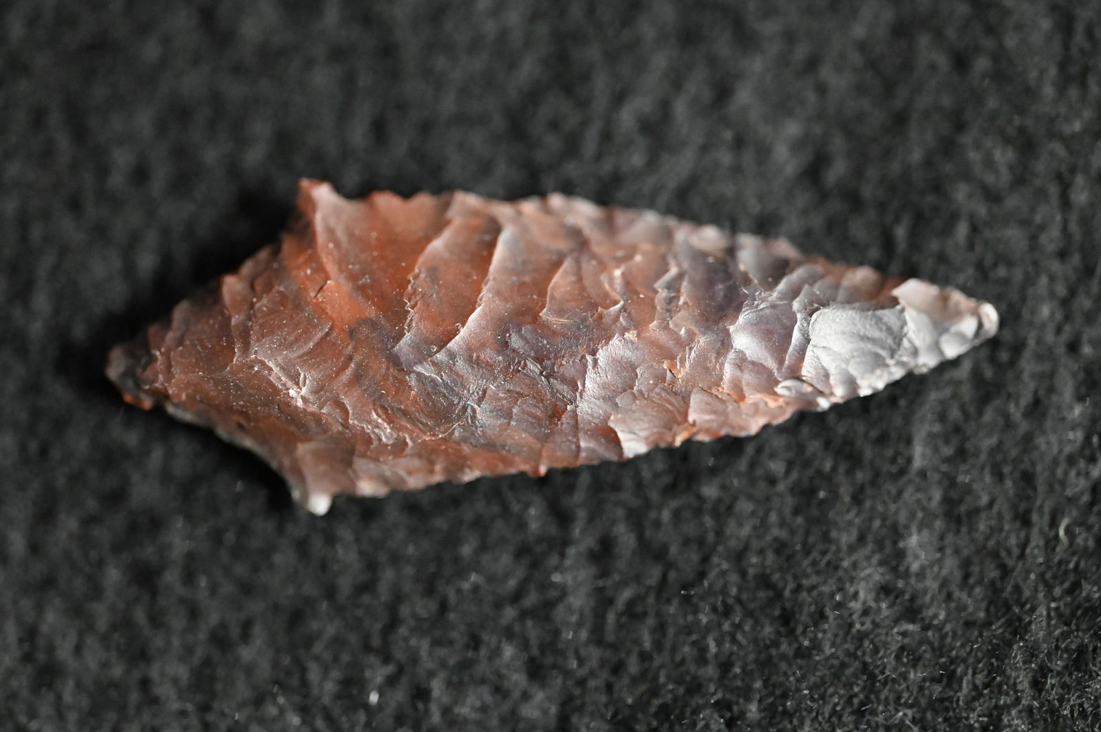 Coquille Narrowneck 1 11/16" Found in Camos Valley Oregon and made out of Jasper comes with a Ryan: Coquille Narrow neck 1 11/16" Found in Camos Valley Oregon and made out of Jasper comes with a Ryan Keele COA Ex: Walt McIntyre Collection. The note in the frame stated that these were found in Oregon