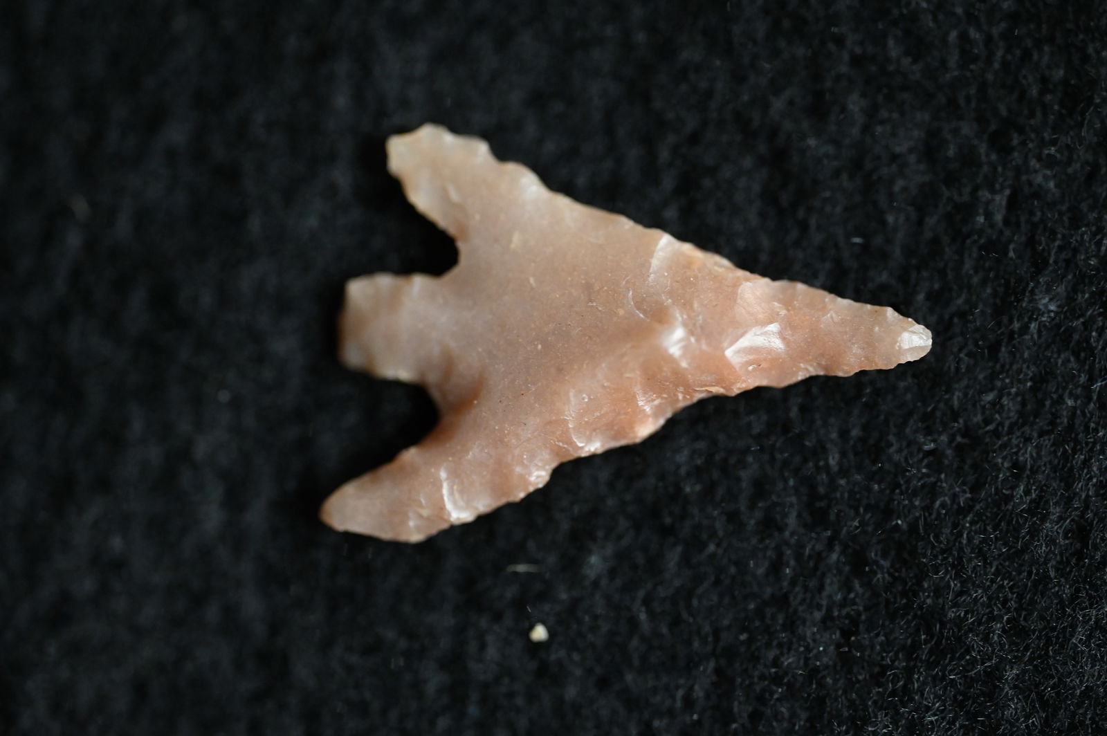 Columbia Plateau 15/16" Found in Washington and made out of Agate comes with a Ryan Keele COA Ex: (1 of 8)