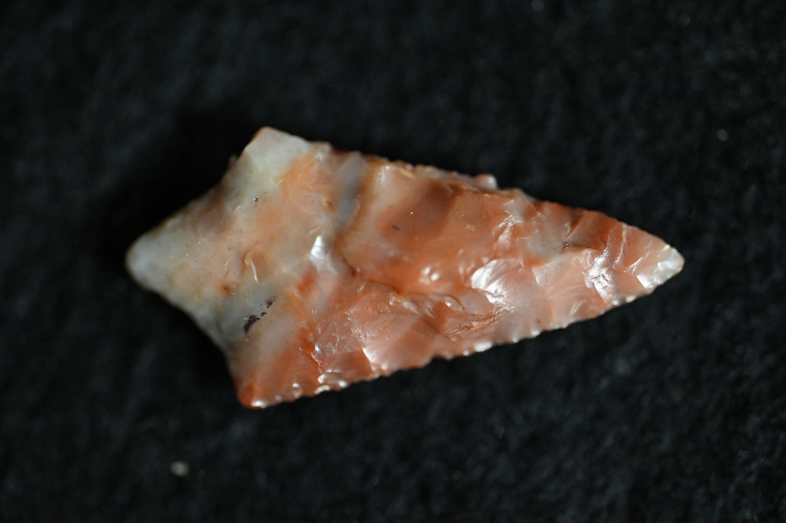 Coquille Narrow neck 1 3/16" Found in Oregon and made out of Jasper comes with a Ryan Keele COA Ex:: Coquille Narrow neck 1 3/16" Found in Oregon and made out of Jasper comes with a Ryan Keele COA Ex: Walt McIntyre Collection. The note in the frame stated that these were found in Oregon in the early