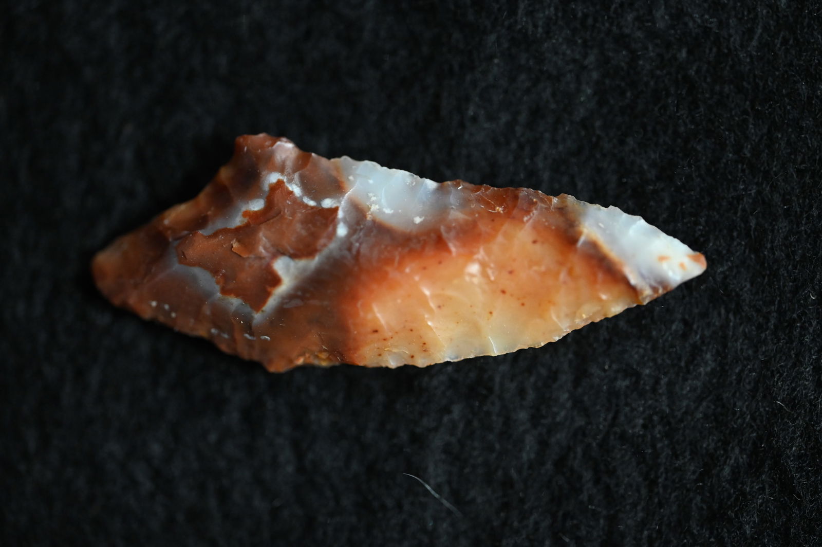 Coquille Narrow neck 1 13/16" Found in Camos Valley Oregon and made out of Agate comes with a Ryan (1 of 8)