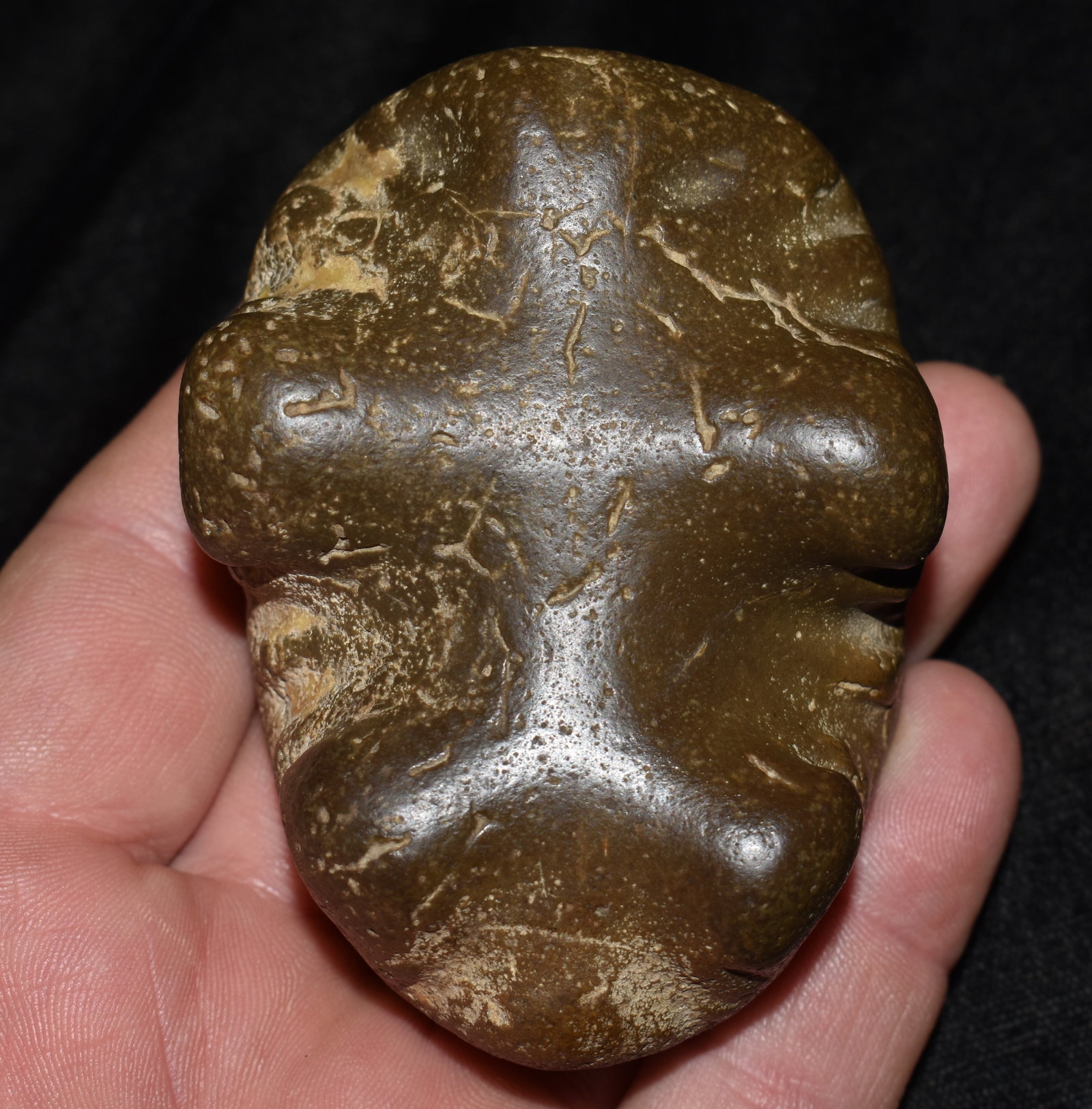 Effigy Figurine with Roy Motley COA reported discovery is Muscatine Co. Iowa on the COA: Effigy Figurine with Roy Motley COA reported discovery is Muscatine Co. Iowa. This is a good old and very unique artifact. It was fashioned from a fossilized baculite segment which has the basic shape