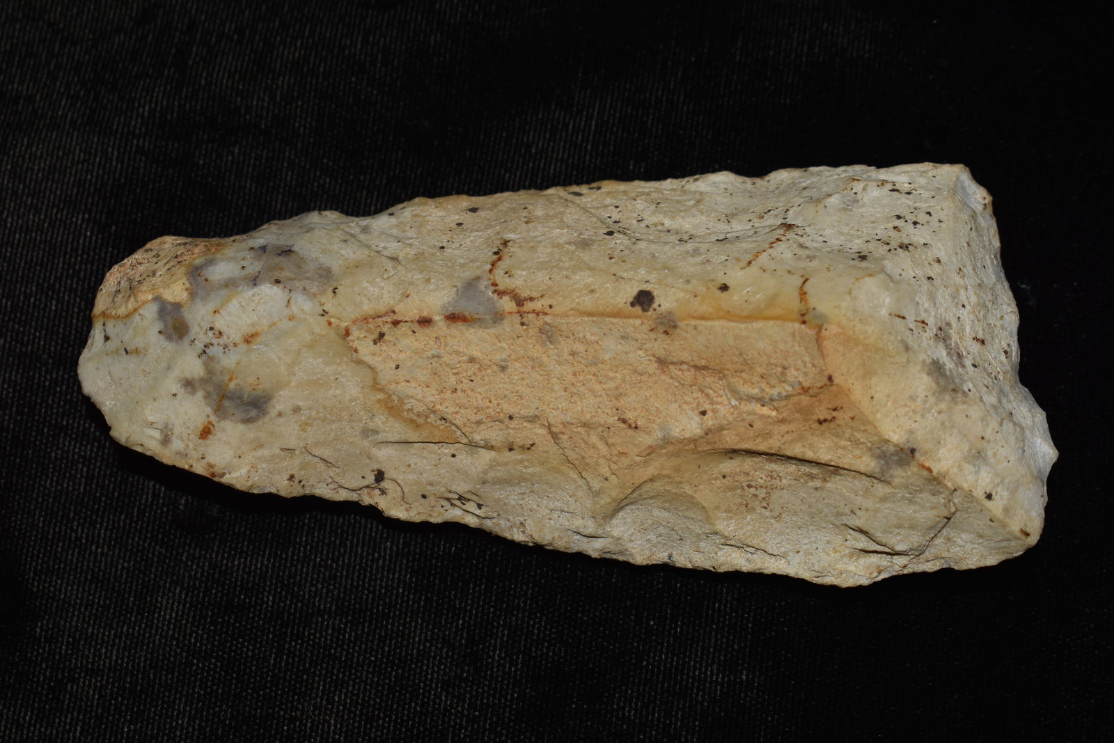 5 1/2" Clear Fork Gouge found in Pettis County, Missouri (1 of 7)
