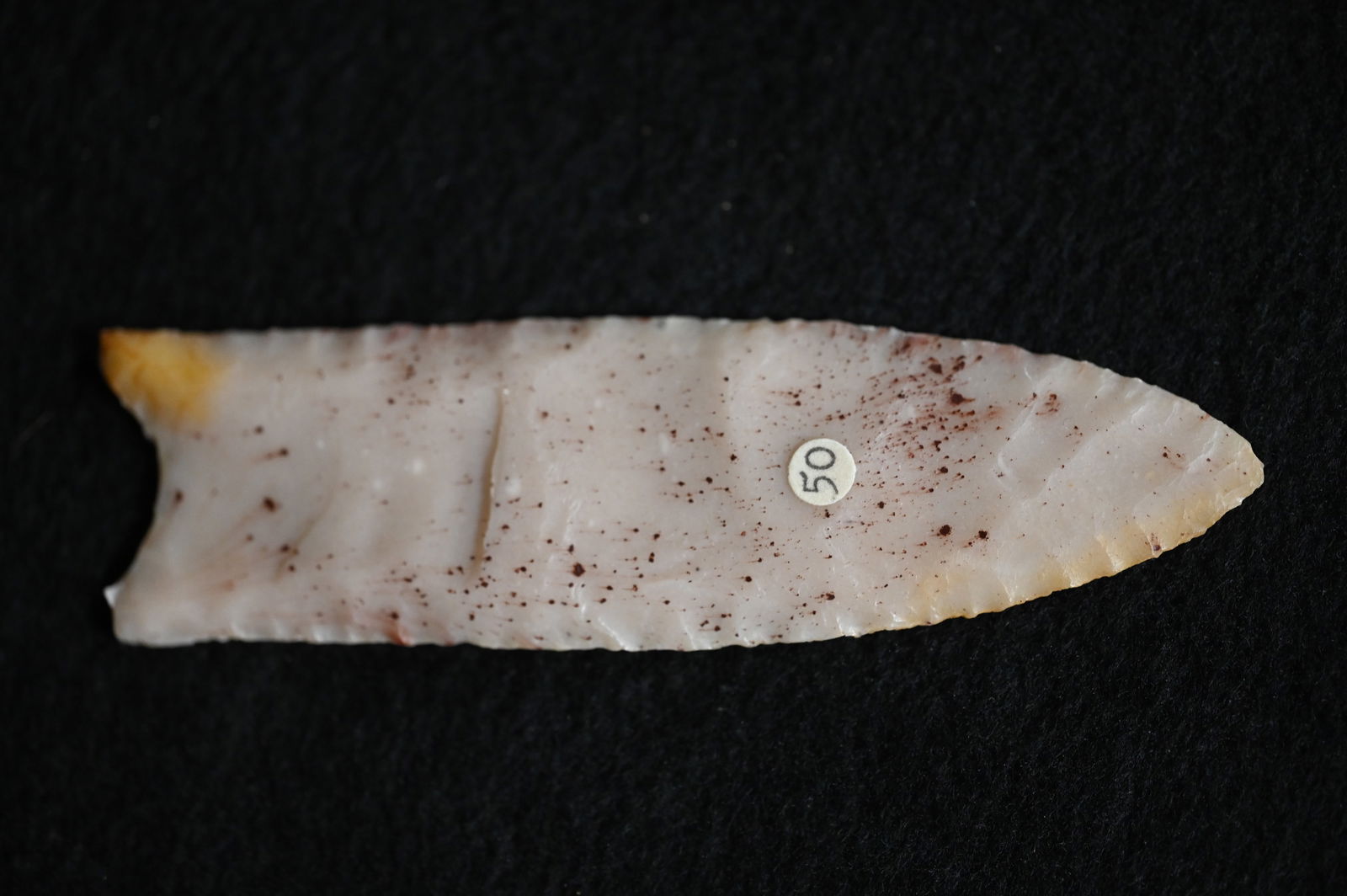 4 1/2" Clovis Cast Arrowhead From The Denver Museum of Natural History. (1 of 5)
