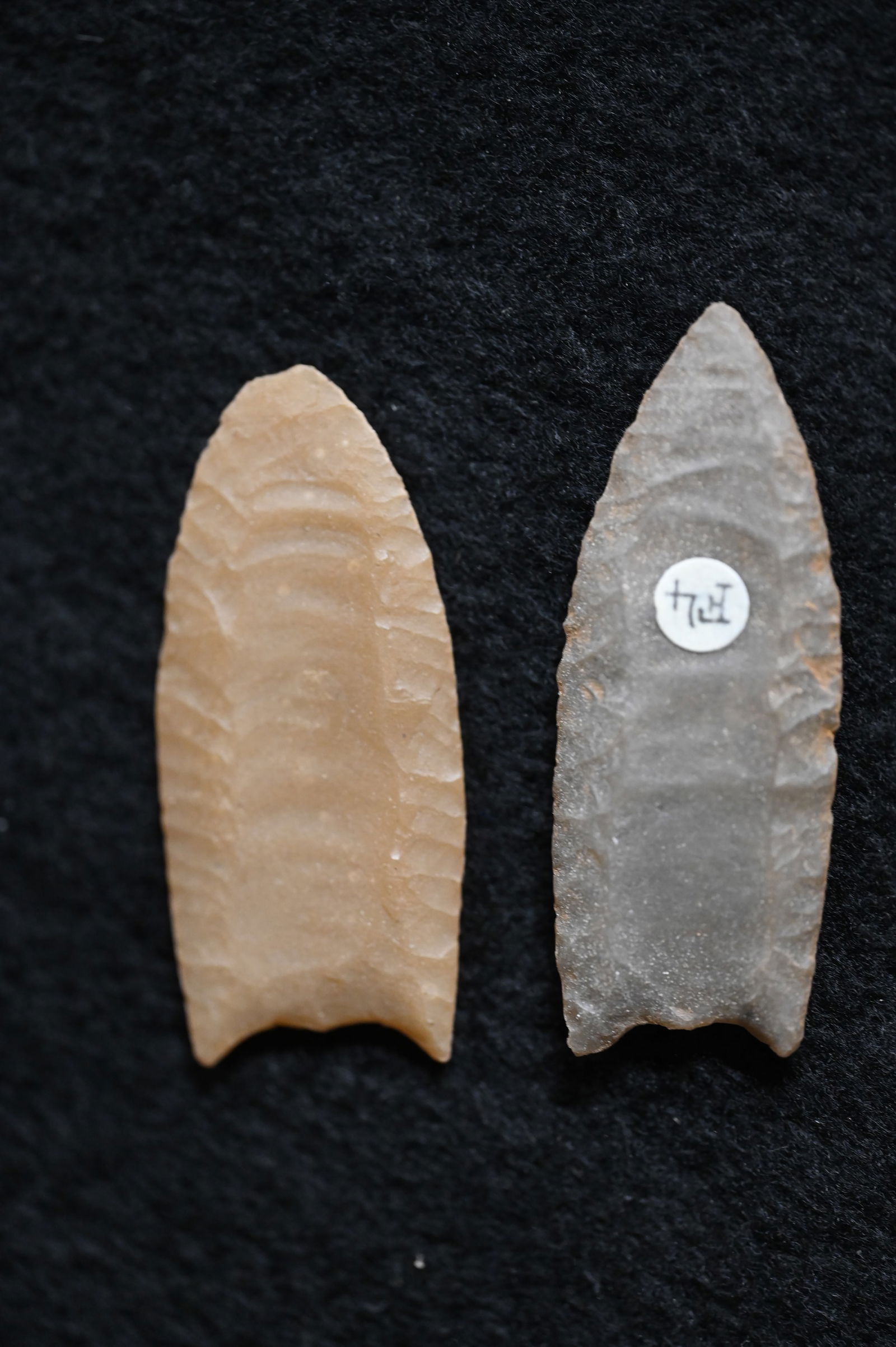 2 Folsom Cast Arrowheads From The Denver Museum of Natural History.  The longest is 2 1/16" (1 of 8)