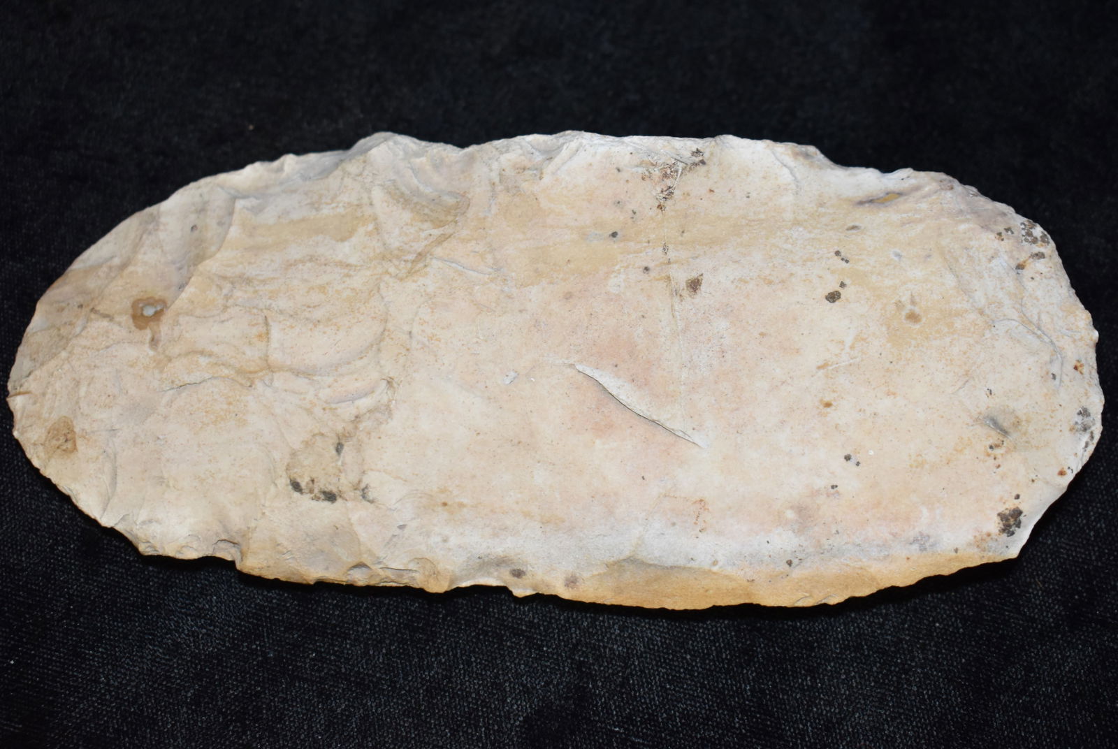 6 1/2" Burlington Chert Celt found in Lewis Co., Missouri by Kenny Williams (1 of 8)