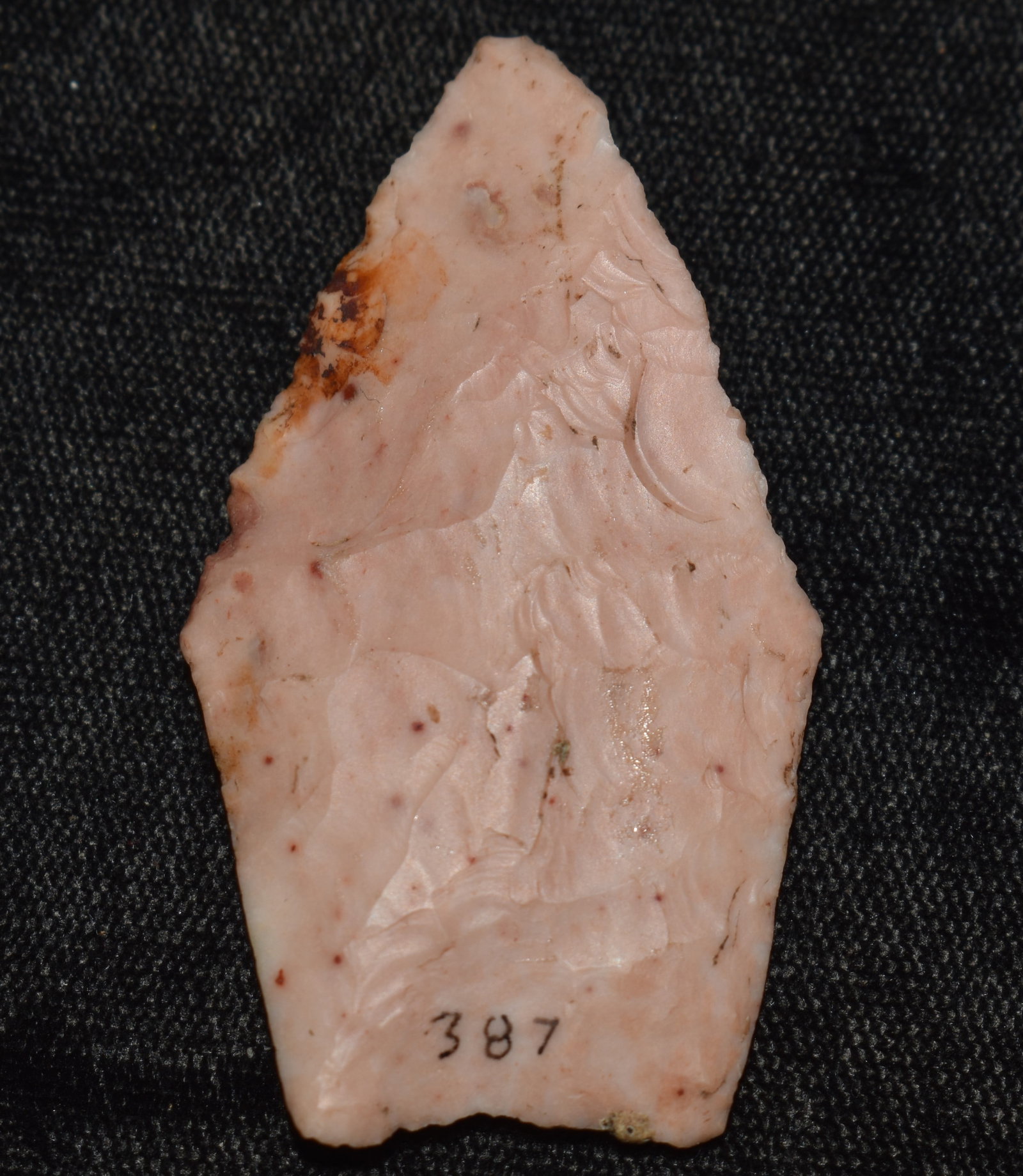 2 1/16" Finely Made Angostura found in McDonald Co., Mo Ryan Keele COA Ex Steve Manos Collection (1 of 8)