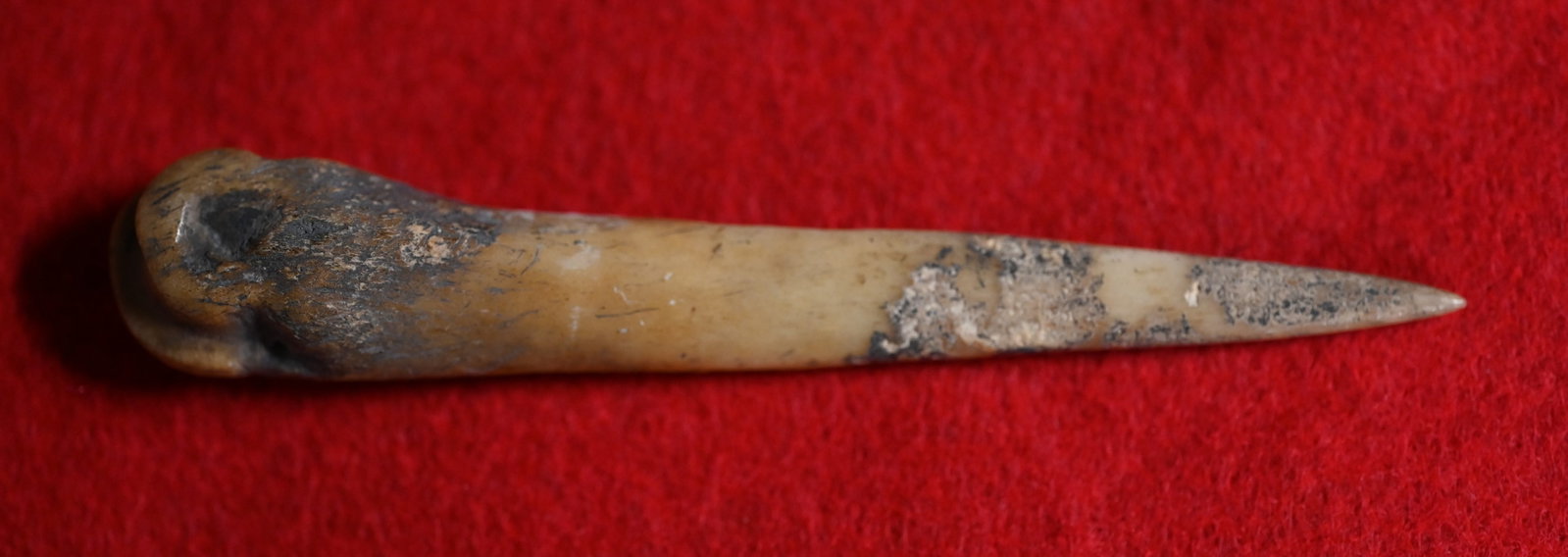 4 3/8" Bone Awl Found by Dale Roberts in Van Buren Co. Iowa.: 4 3/8" Bone Awl Found by Dale Roberts in Van Buren Co. Iowa.
