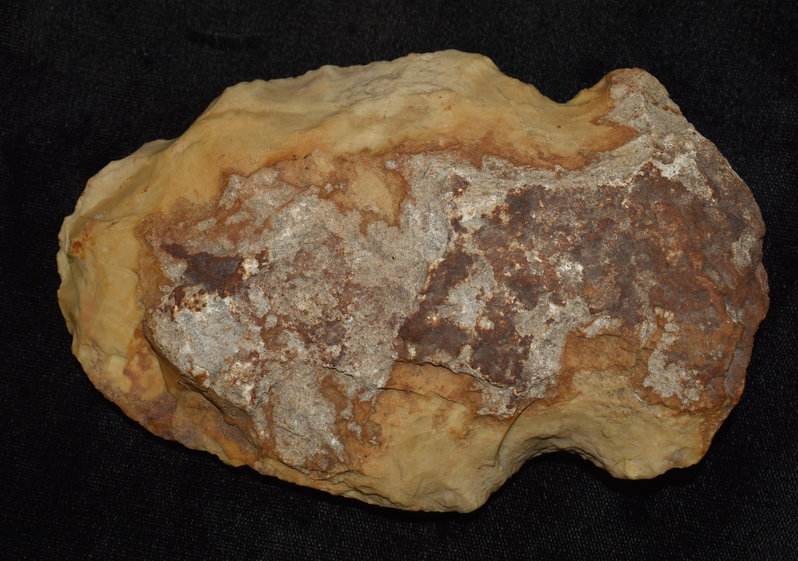 5 3/8" Mozarkite Notched Axe or Hoe found in Pettis County, Missouri (1 of 7)