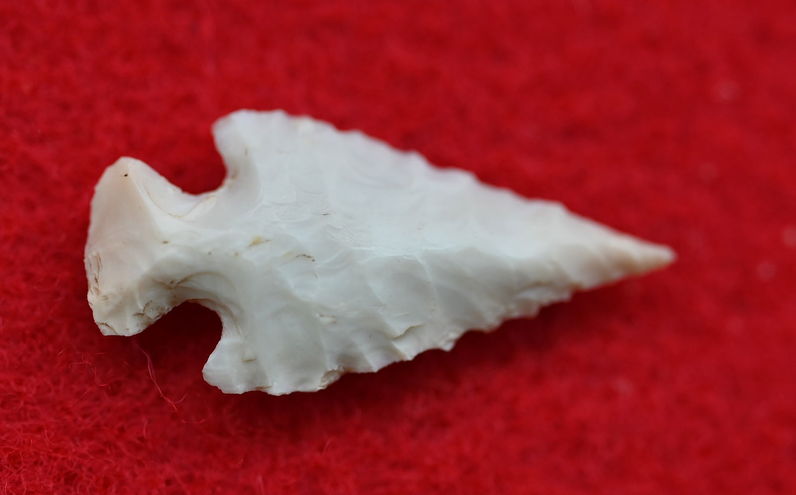 7/8" Sequoyah Bird Point Found in Madison Co. Illinois.  Comes with a Ryan Keele COA. (1 of 9)