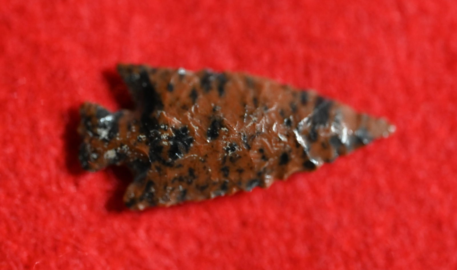 1 1/8" Rose Springs Mahogany Obsidian Bird Point Found in Lake Co. California on or near Bartlet (1 of 4)