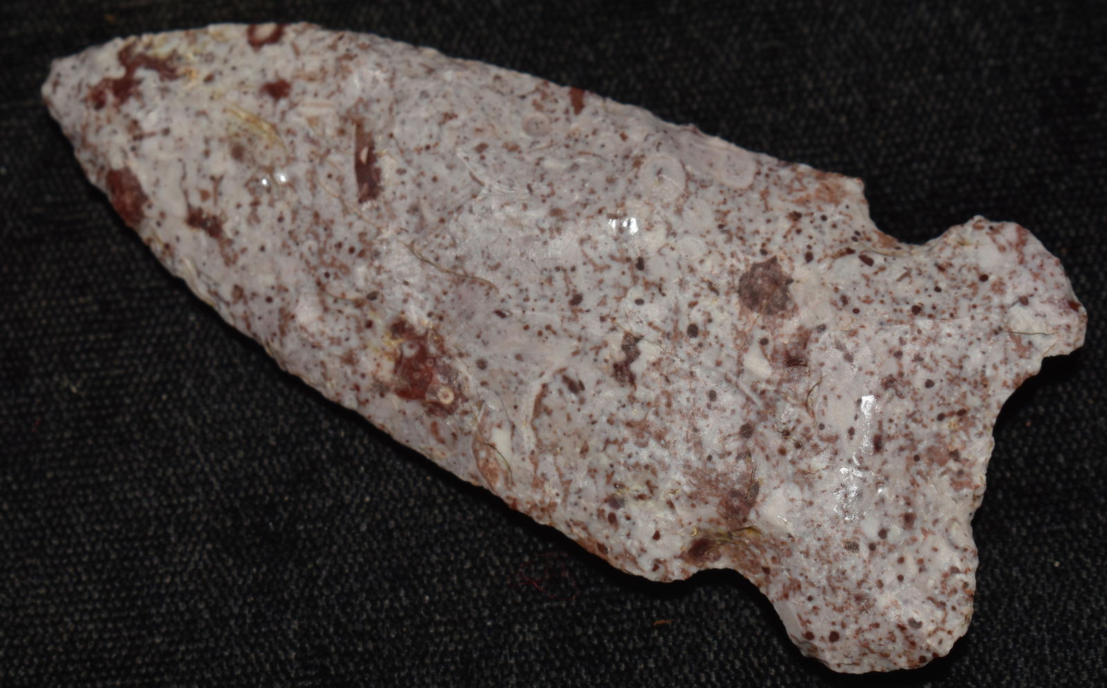 3 1/16" Colorful Osceola found in Lewis County, Missouri by Kenny Williams (1 of 8)