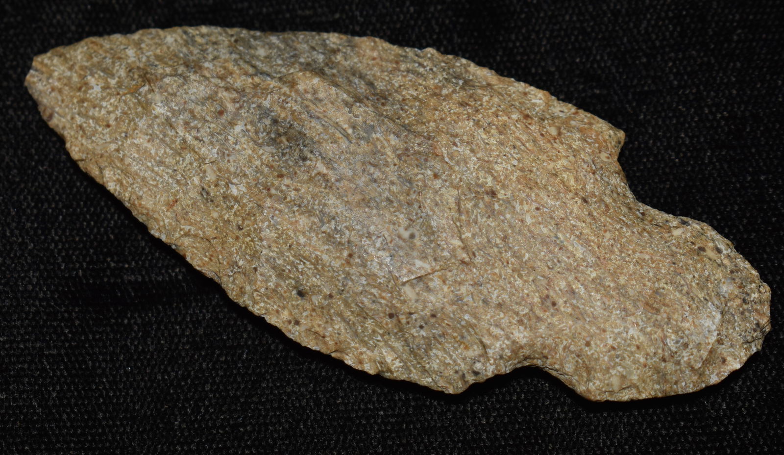 3 1/8" Ross Blade found in Scottland County, Missouri by Rodney Gray (1 of 7)