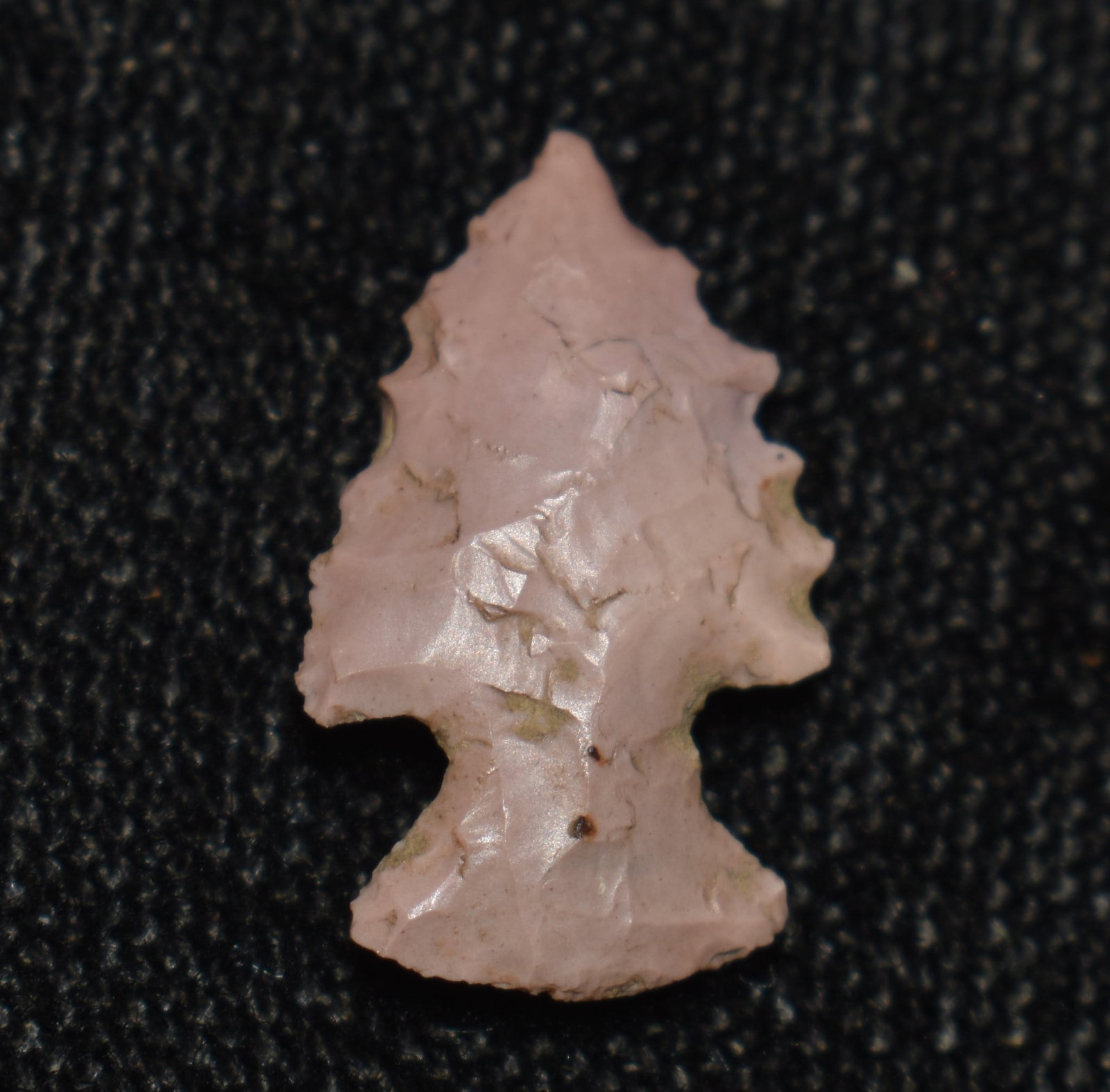 5/8" Colorful Scallorn Arrowhead found in Denton County Missouri by members of the Martin Hart: 5/8" Colorful Scallorn Arrowhead found in Denton County Missouri by members of the Martin Hart family. Ancient Authentic Native American Artifact Arrowheads