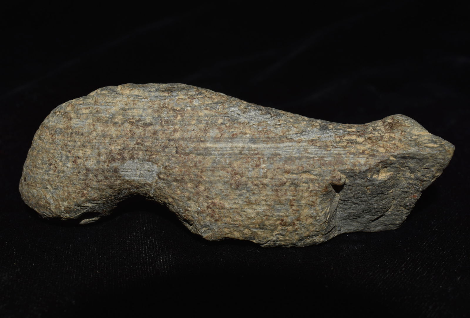 4 1/4" Slate Bird stone Preform found in Ross County, Ohio w/ COA (1 of 8)