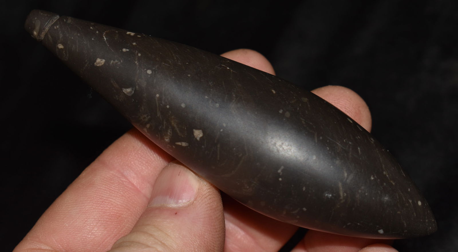 4 5/16" Plummet found in NE Arkansas w/ Motley COA (1 of 7)