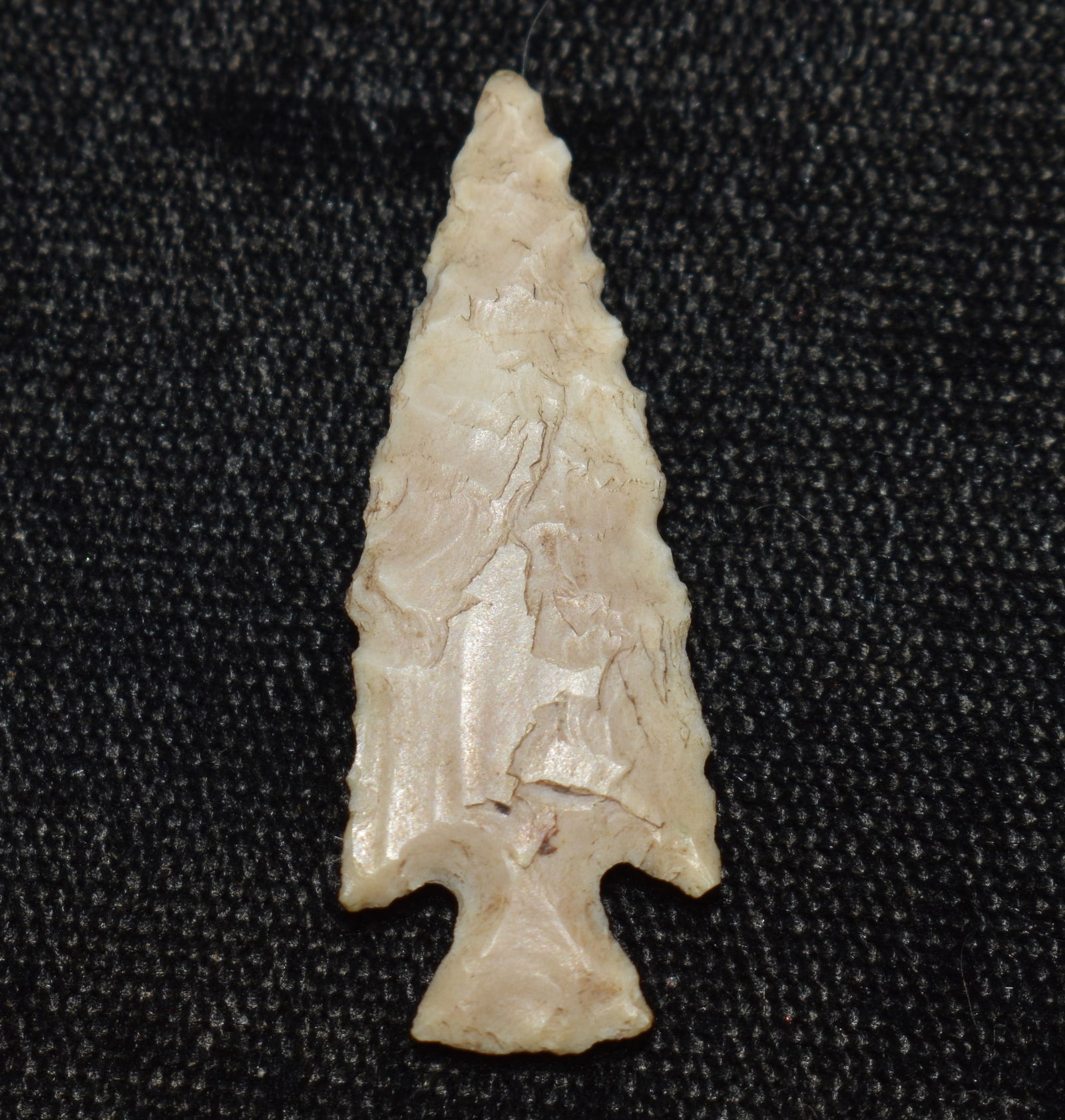 1 5/16" Scallorn Arrowhead found in Dent County, Missouri by members of the Hart Family. (1 of 7)