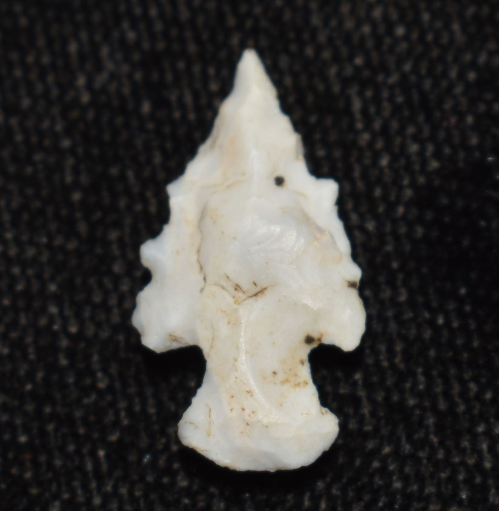 3/4" Sequoyah Bird Point found in Audrain County, Missouri by Rodney Gray (1 of 5)