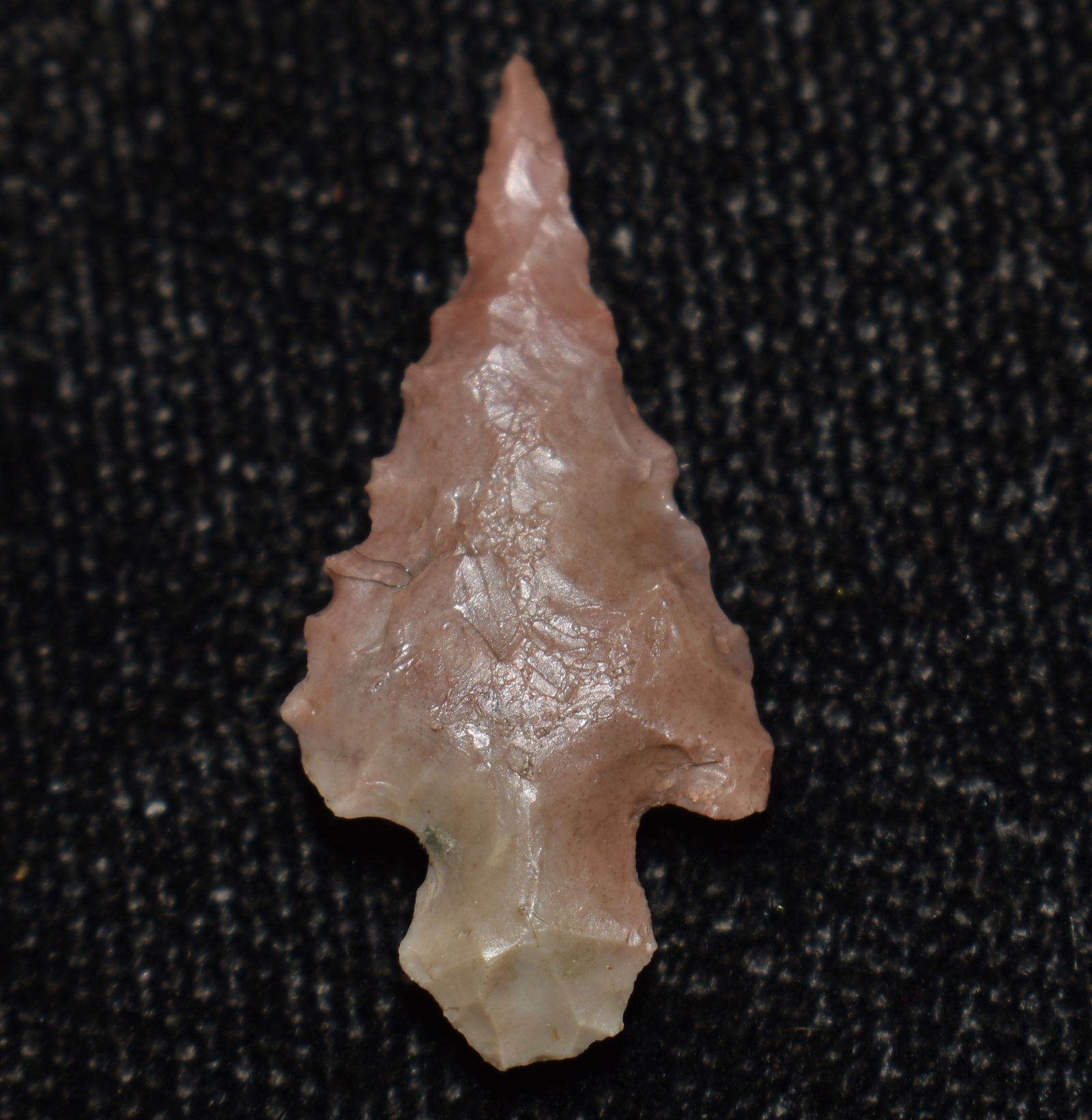 7/8" Sequoyah Bird Point found in Scottland County, Missouri by Rodney Gray (1 of 5)