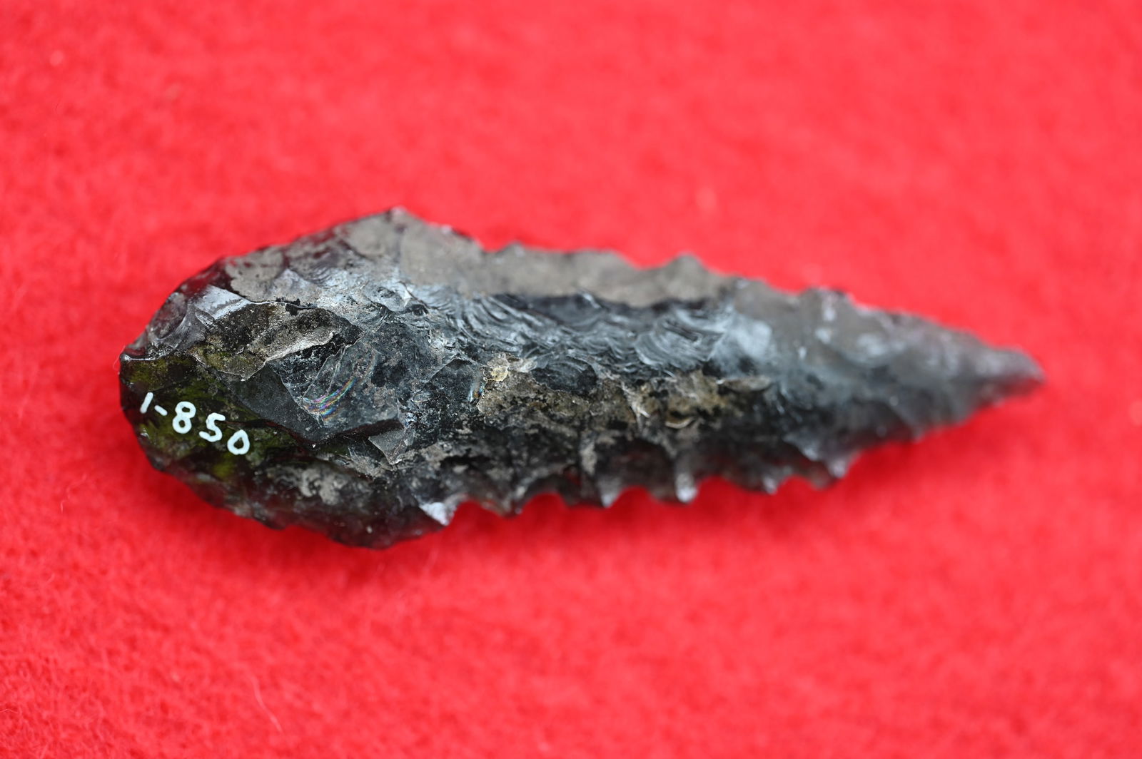 2 3/16" Obsidian Cascade Found in Lake County, California by Venn Keeling on or near Bartlett: 2 3/16" Obsidian Cascade Found in Lake County, California by Venn Keeling on or near Bartlett Mountain And Catalogued by Berkley University.