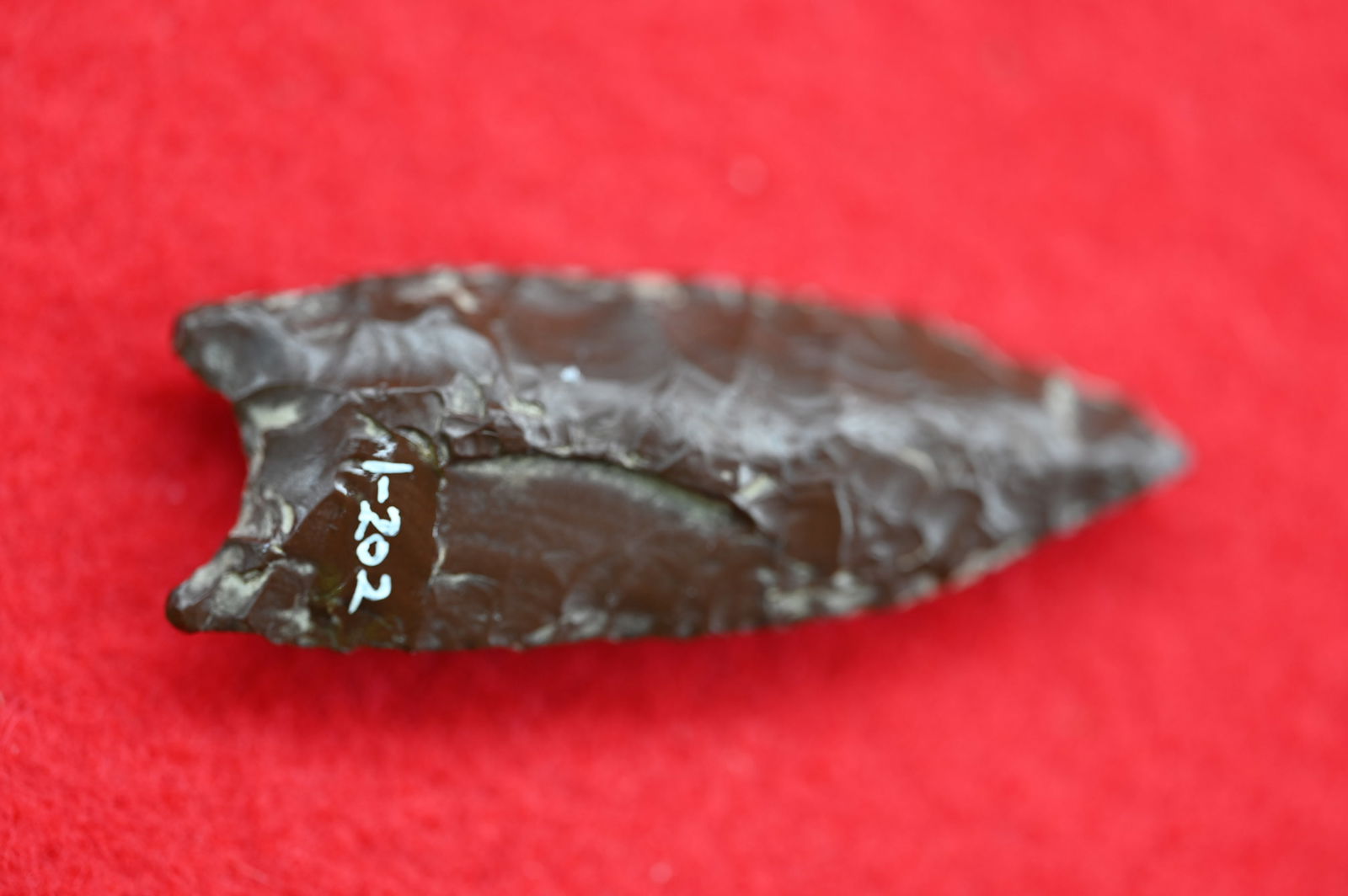 2" Humbolt Constricted Base Made out of Jasper Found in Lake County, California by Venn Keeling on: 2" Humbolt Constricted Base Made out of Jasper Found in Lake County, California by Venn Keeling on or near Bartlett Mountain And Catalogued by Berkley University. Comes with a Ryan Keele COA.